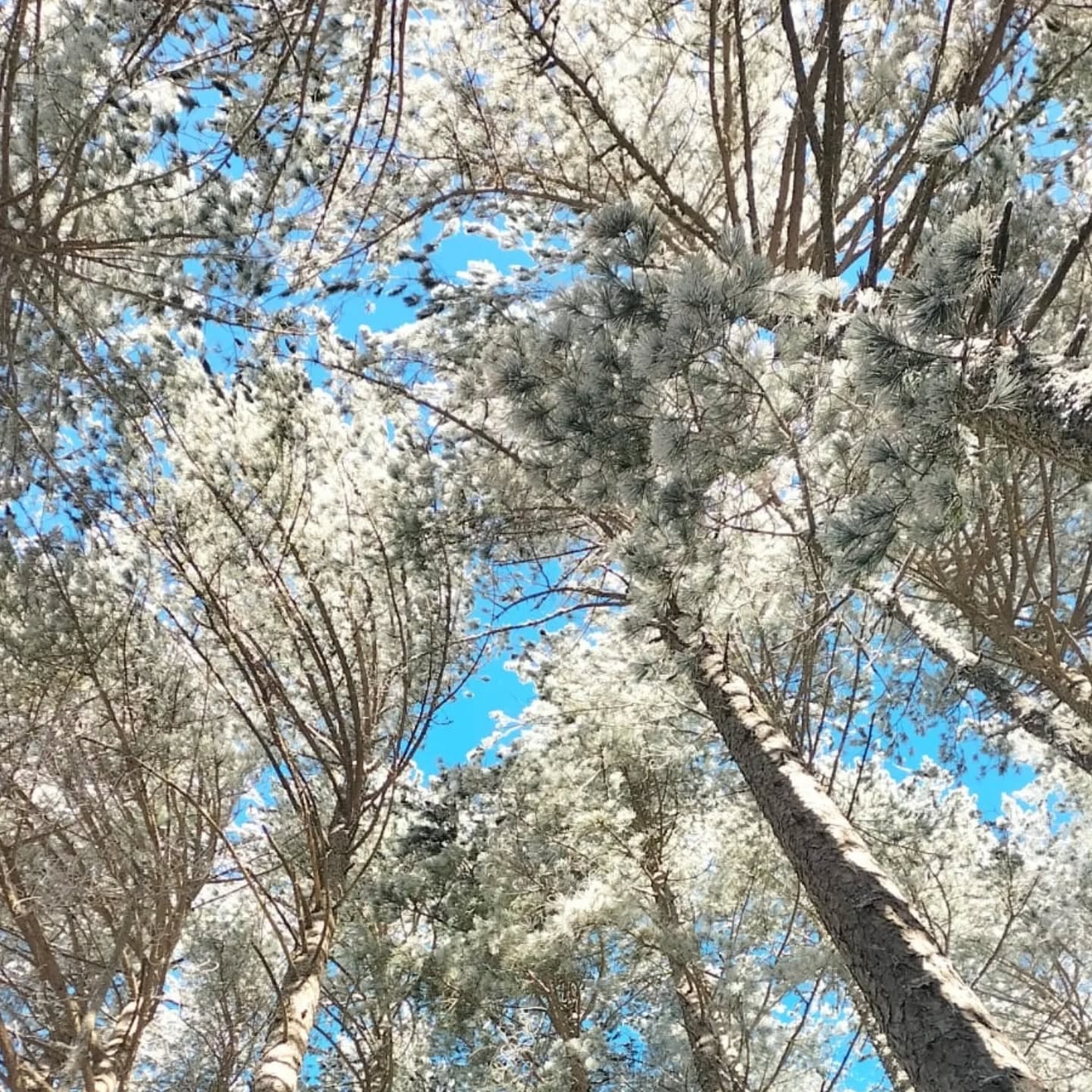 I M G 20260119 W A0046