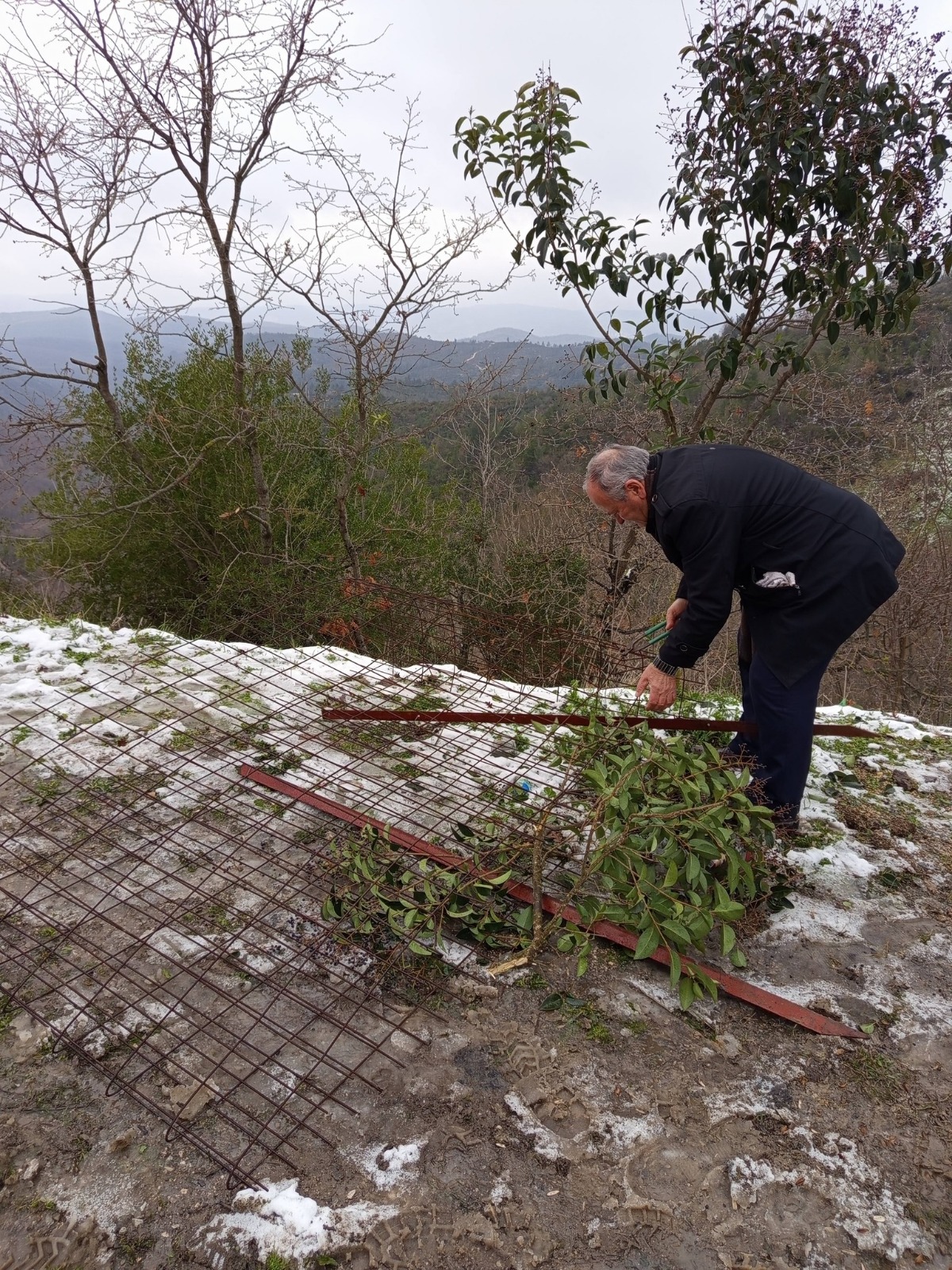 I M G 20260121 W A0040