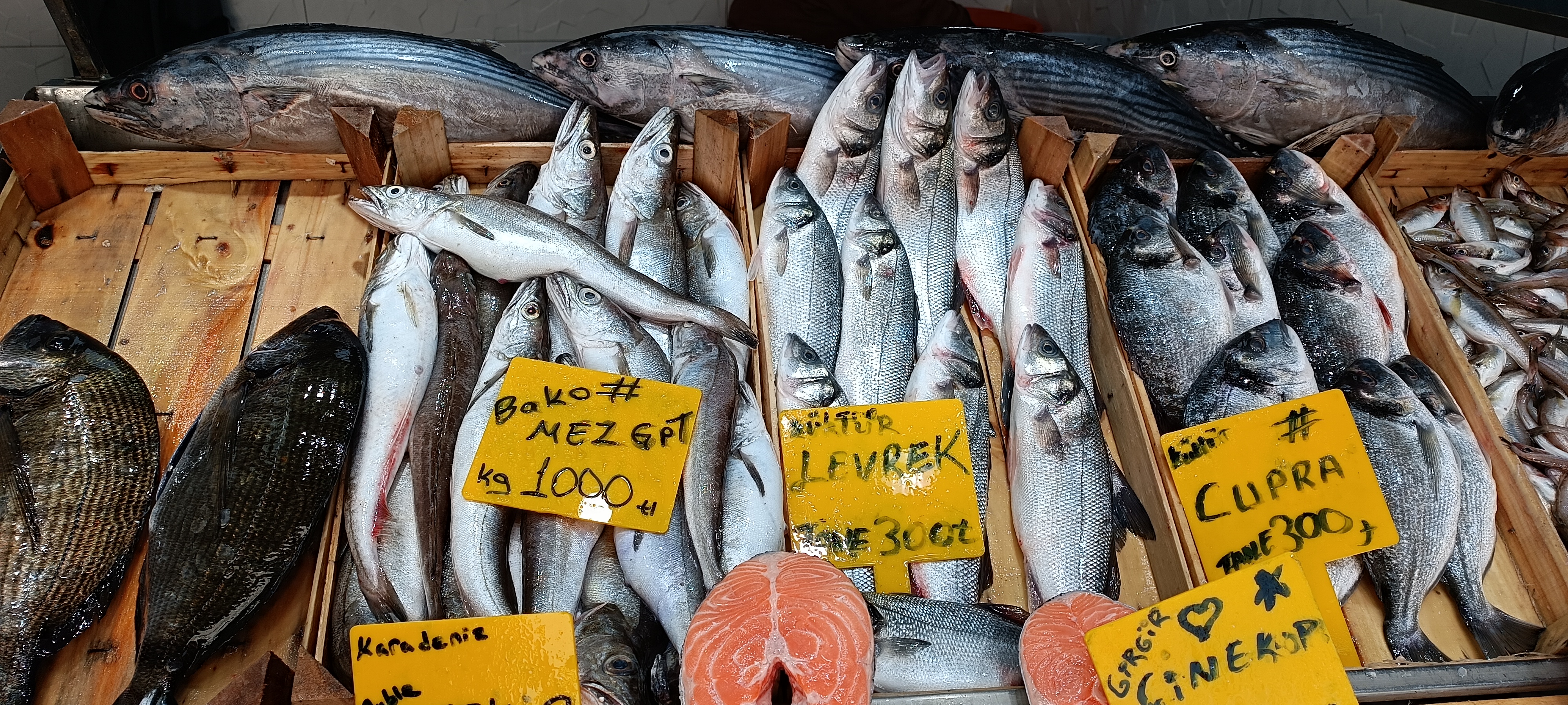 I M G 20260122 134450