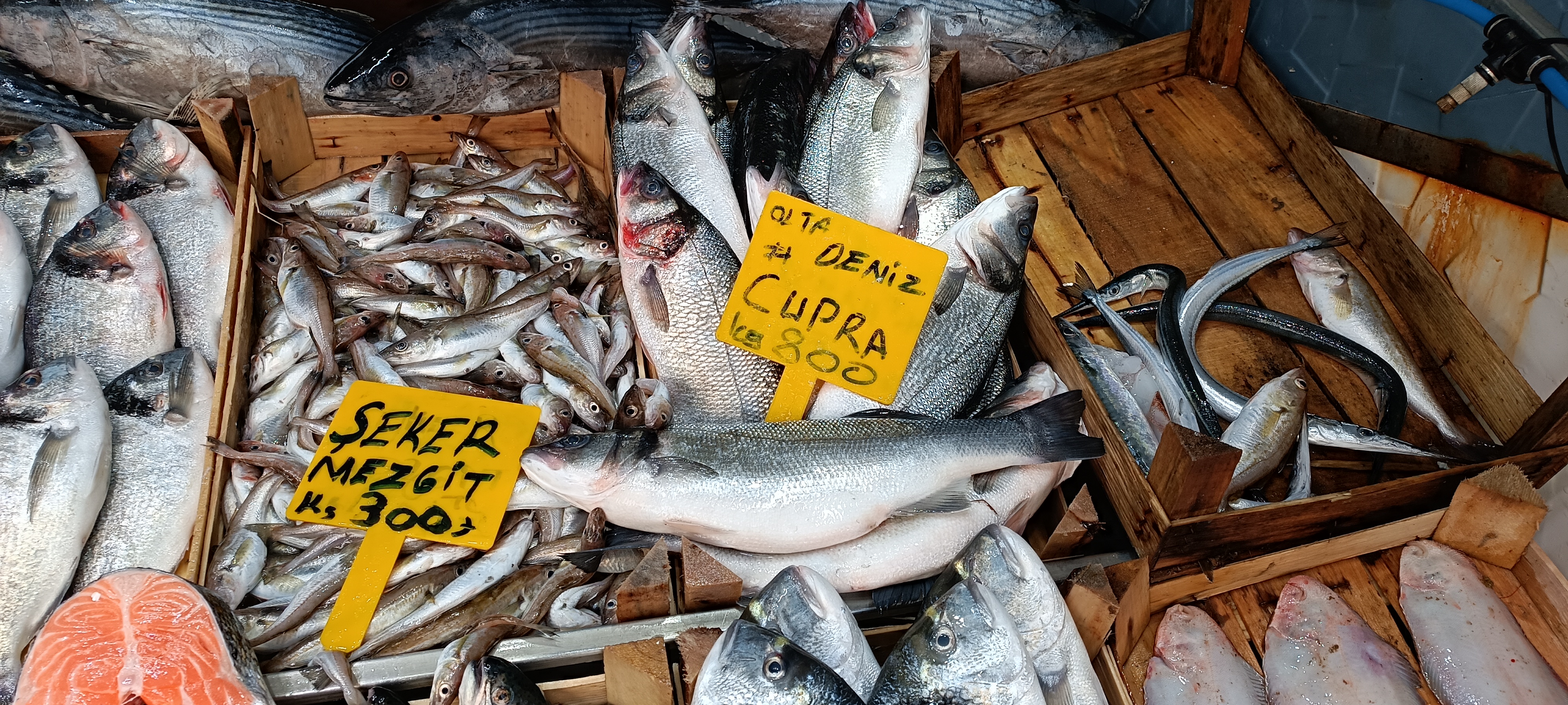 I M G 20260122 134455