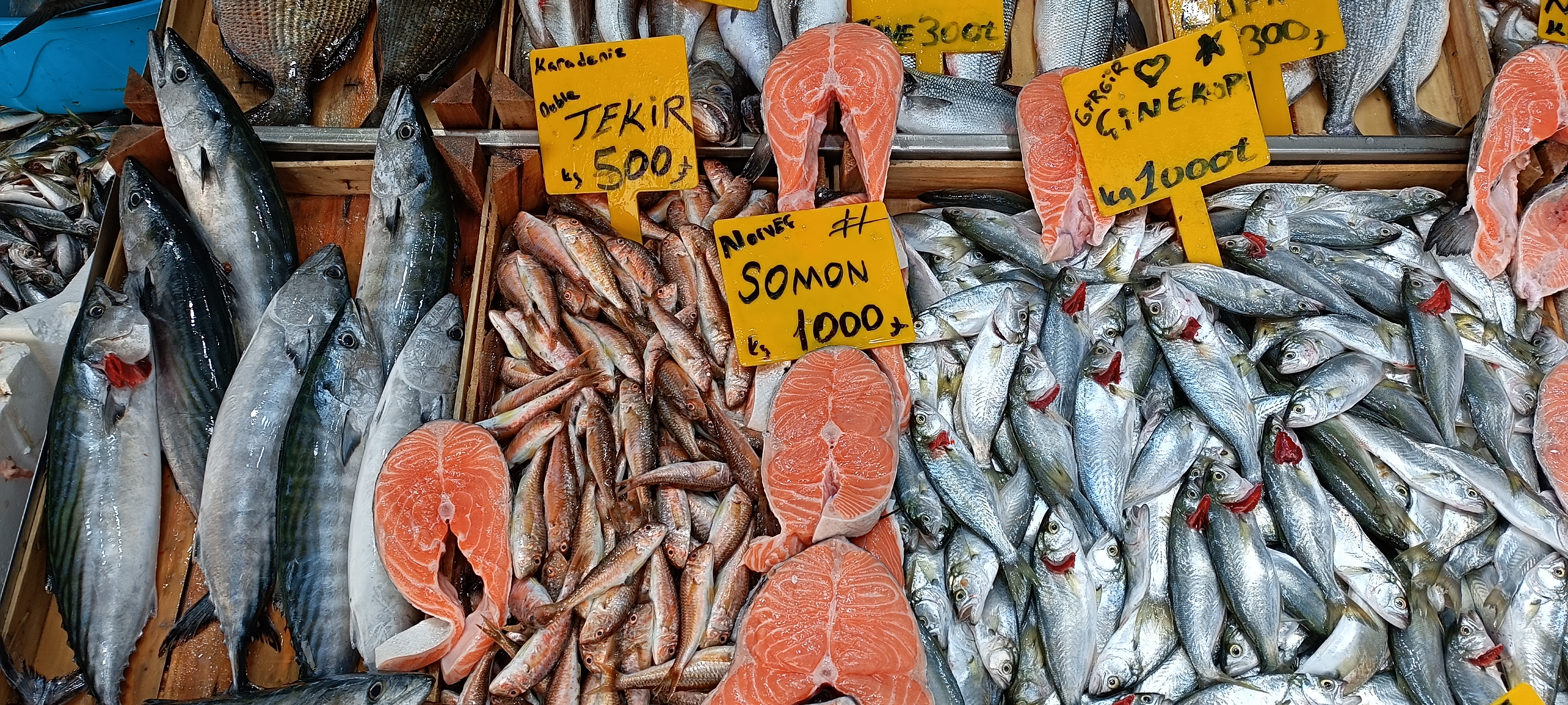 I M G 20260122 134506