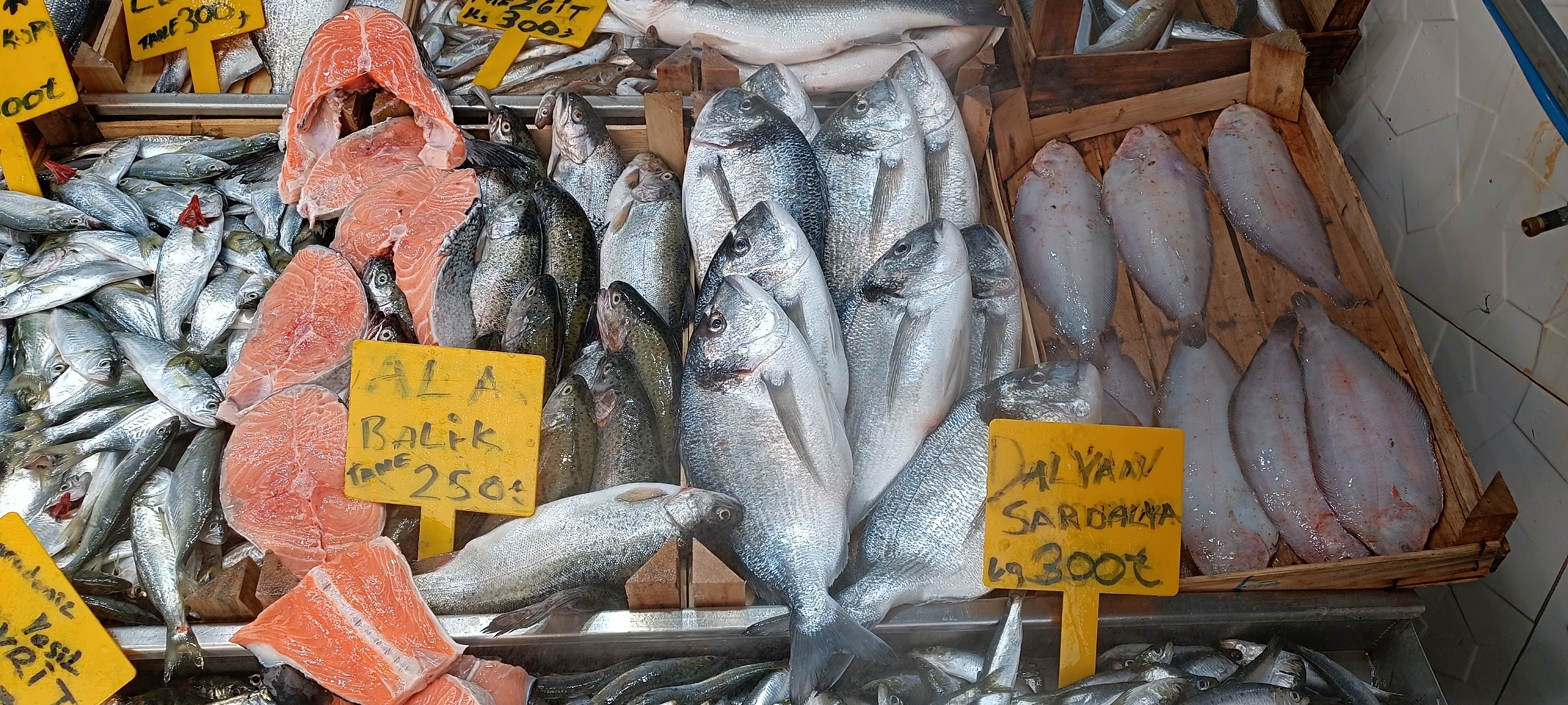 I M G 20260122 134513