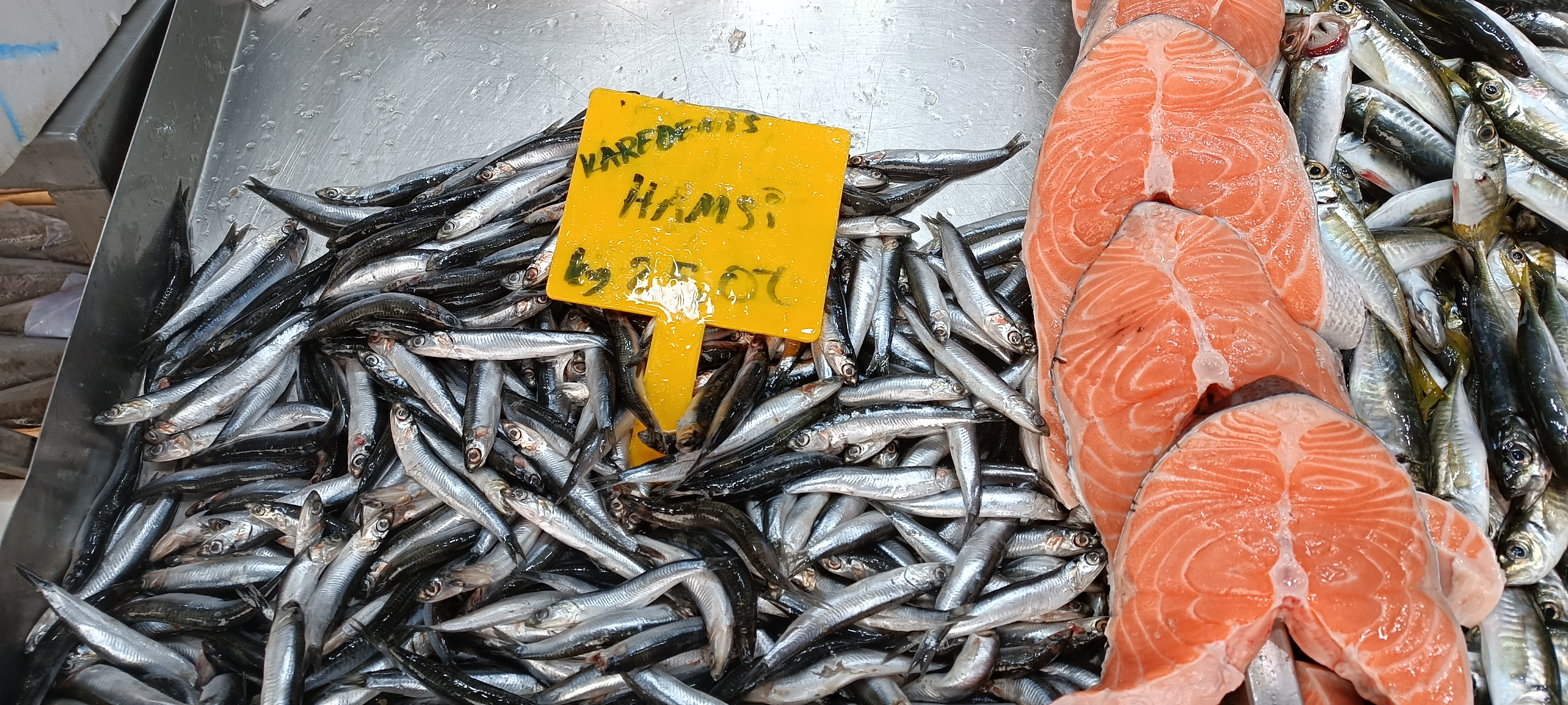 I M G 20260122 134526