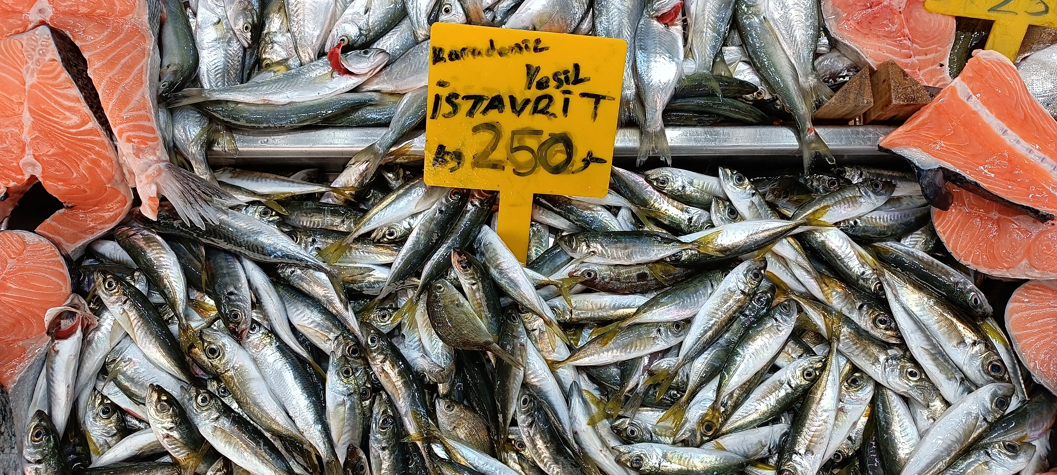 I M G 20260122 134538