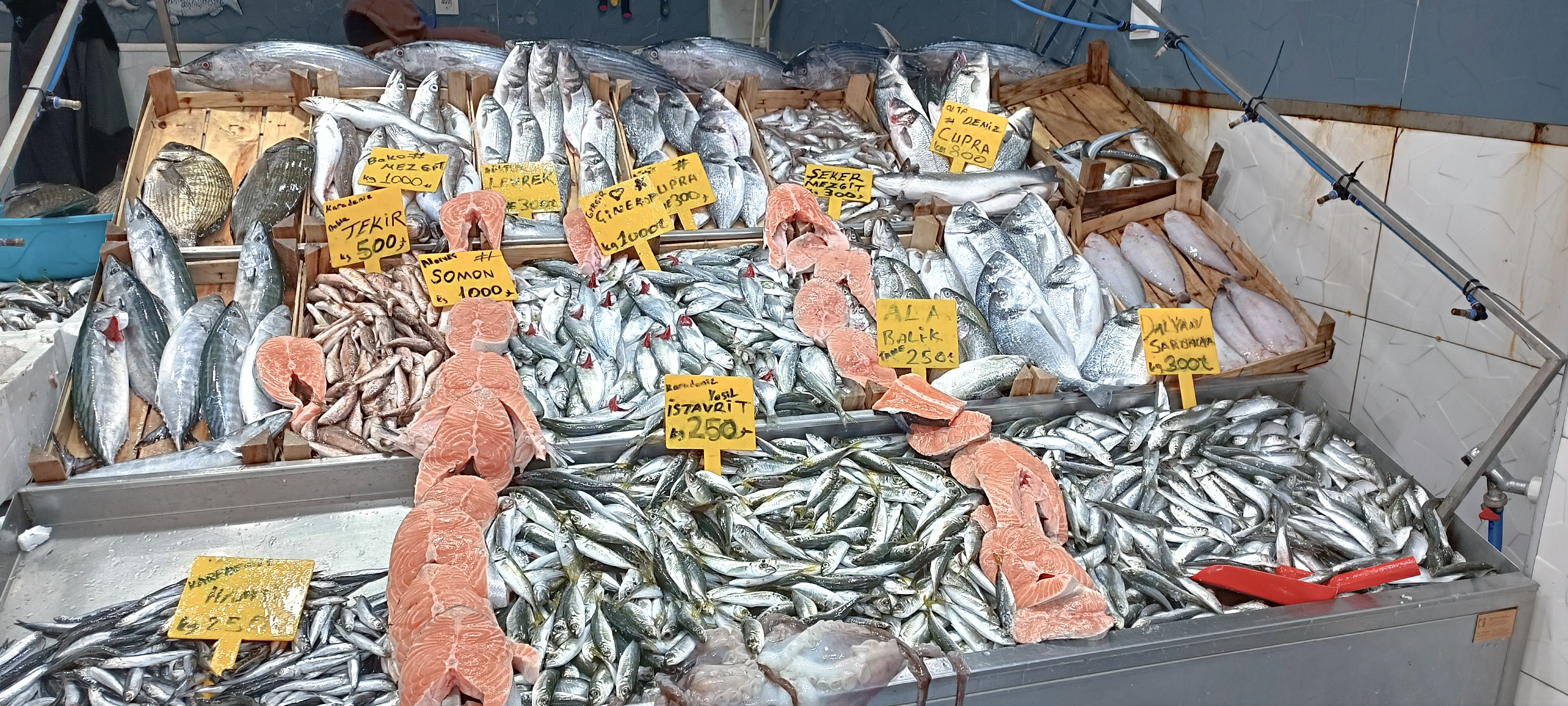 I M G 20260122 135233