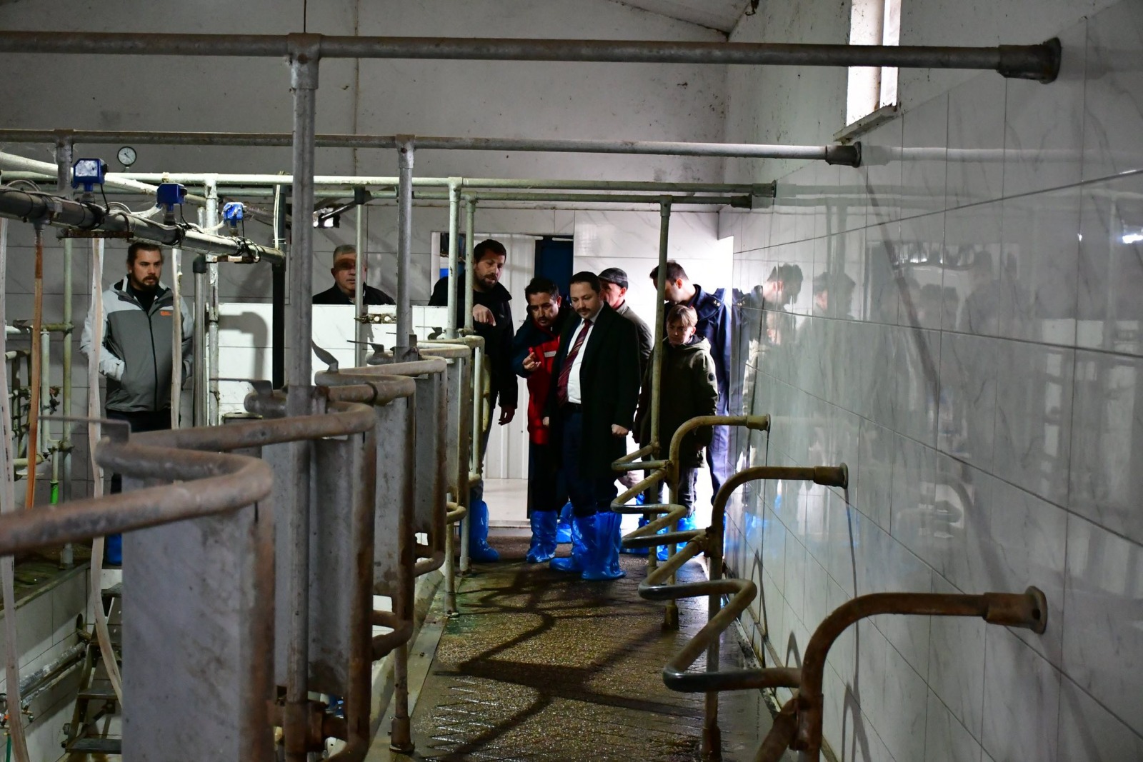 I M G 20260122 W A0019(1)