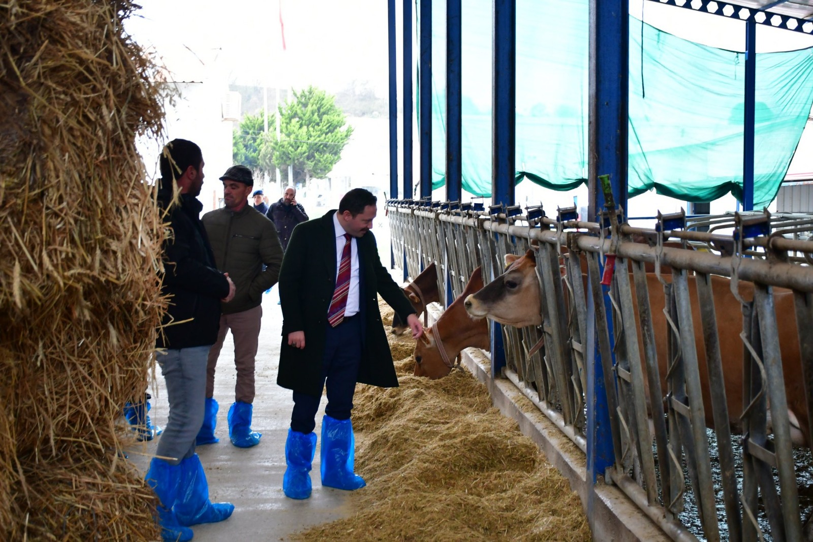 I M G 20260122 W A0020