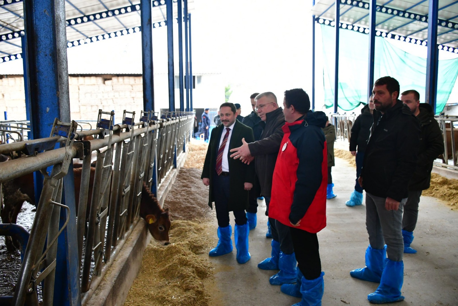 I M G 20260122 W A0021(1)