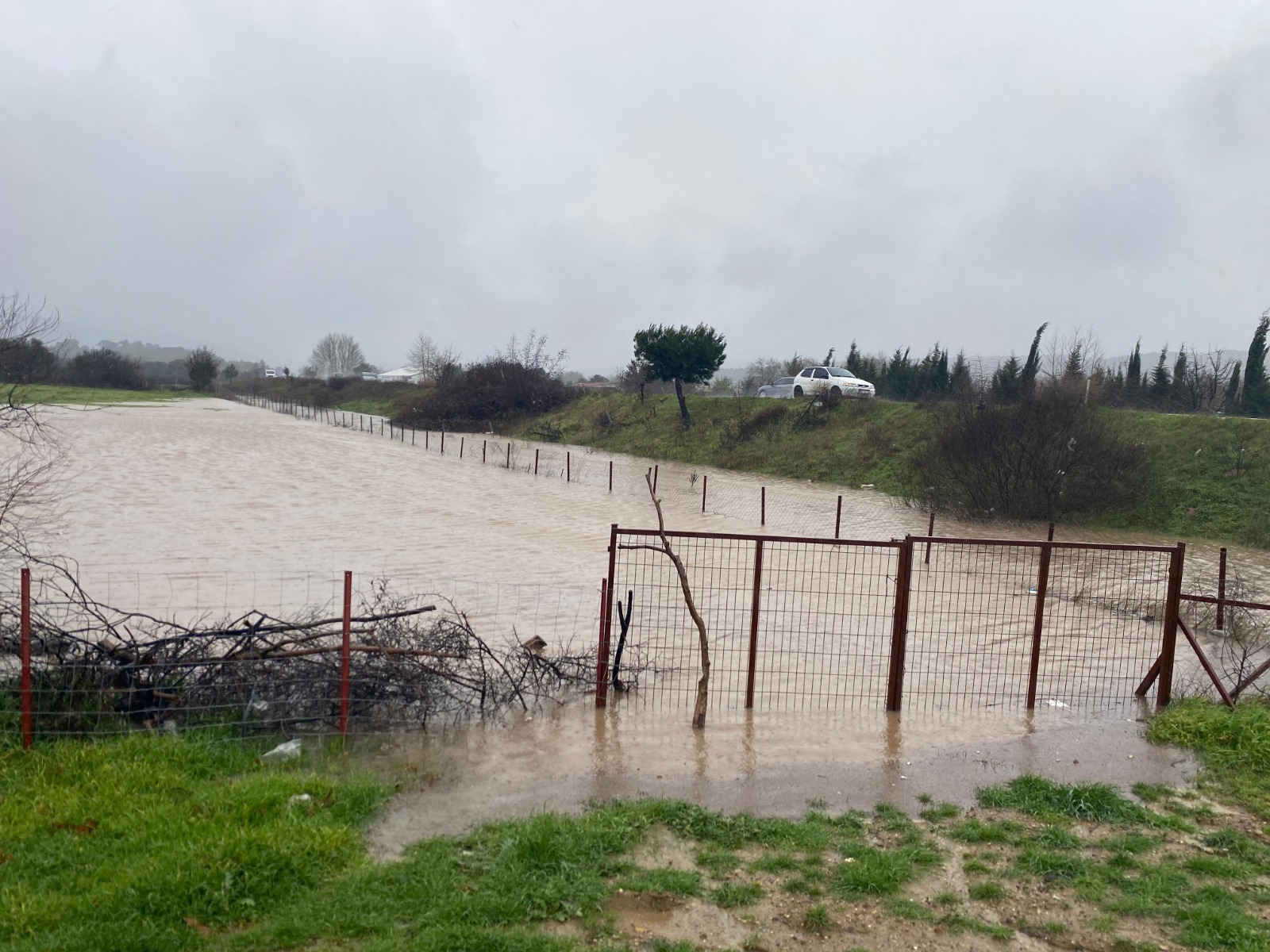 I M G 20260127 W A0073