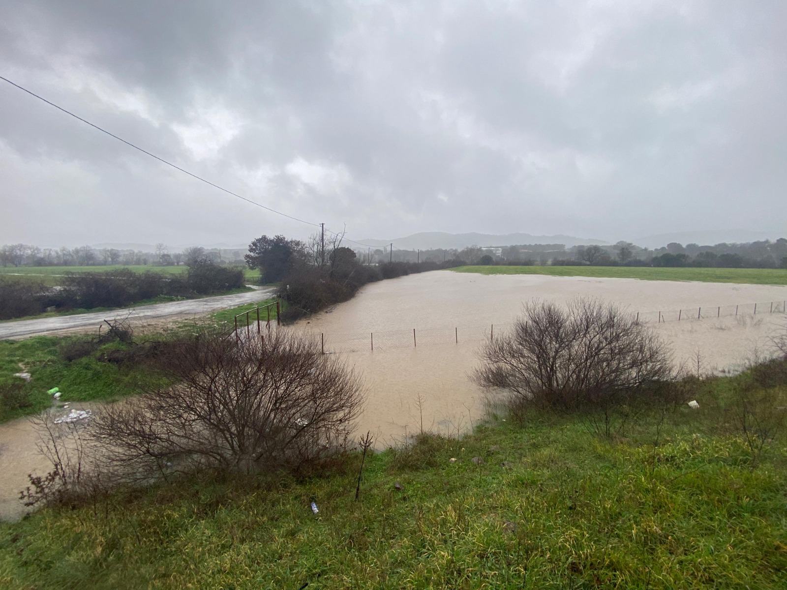 I M G 20260127 W A0074