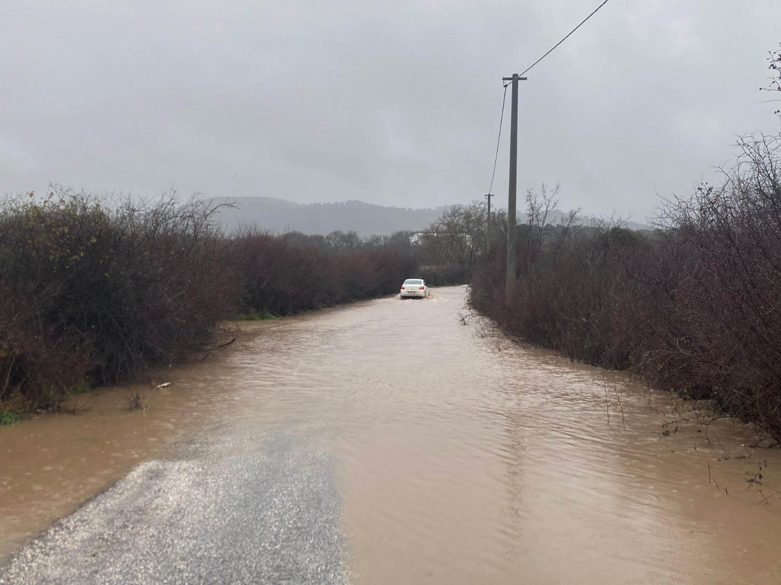 I M G 20260127 W A0075