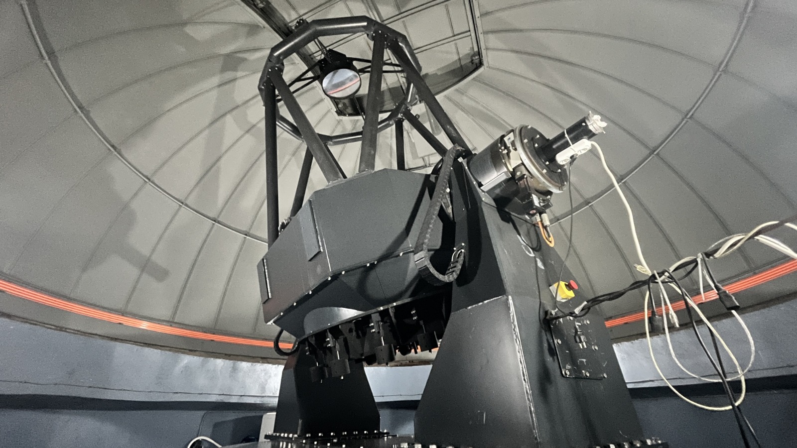 I M G 20260128 W A0158