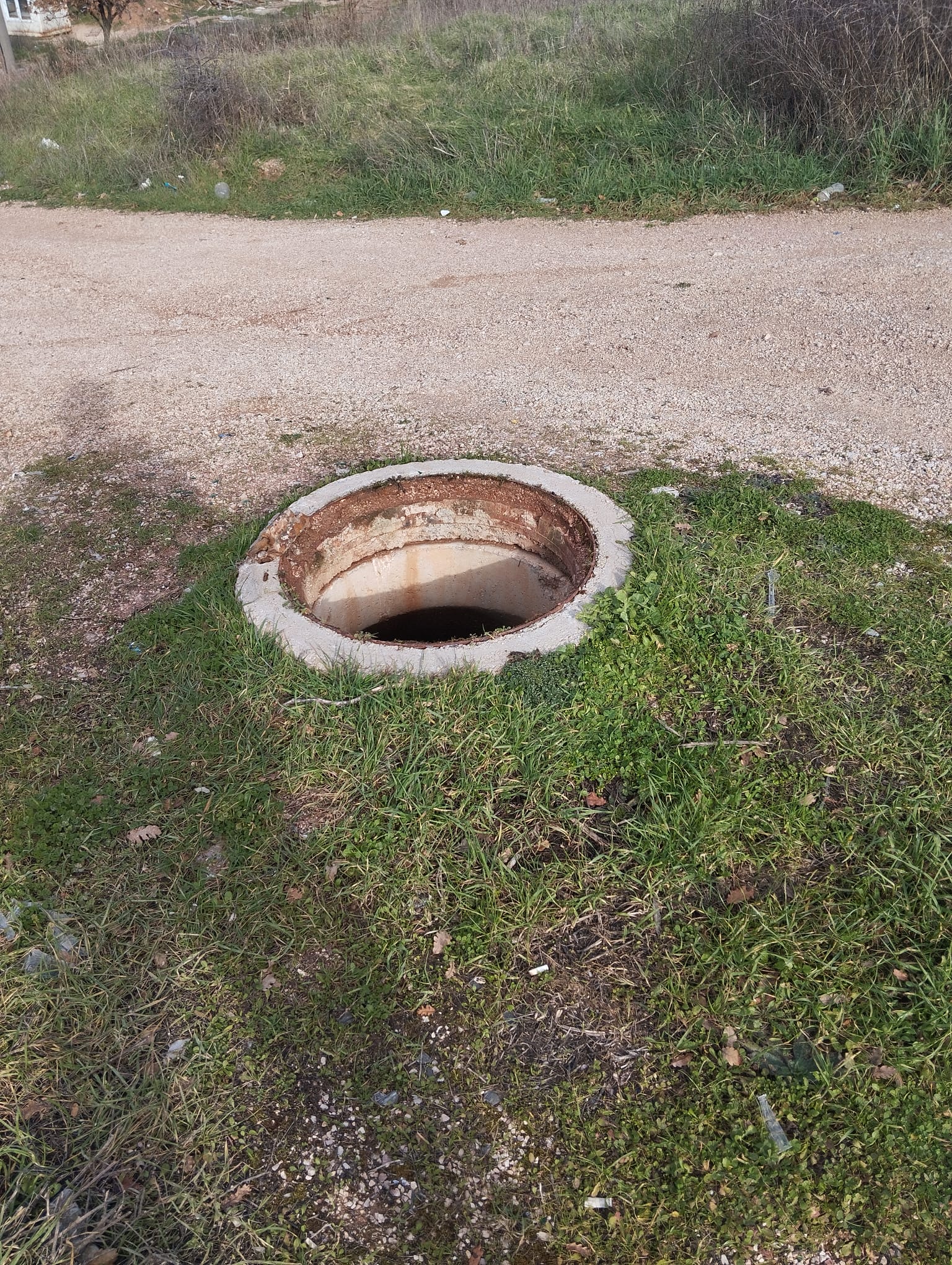 I M G 20260128 W A0168