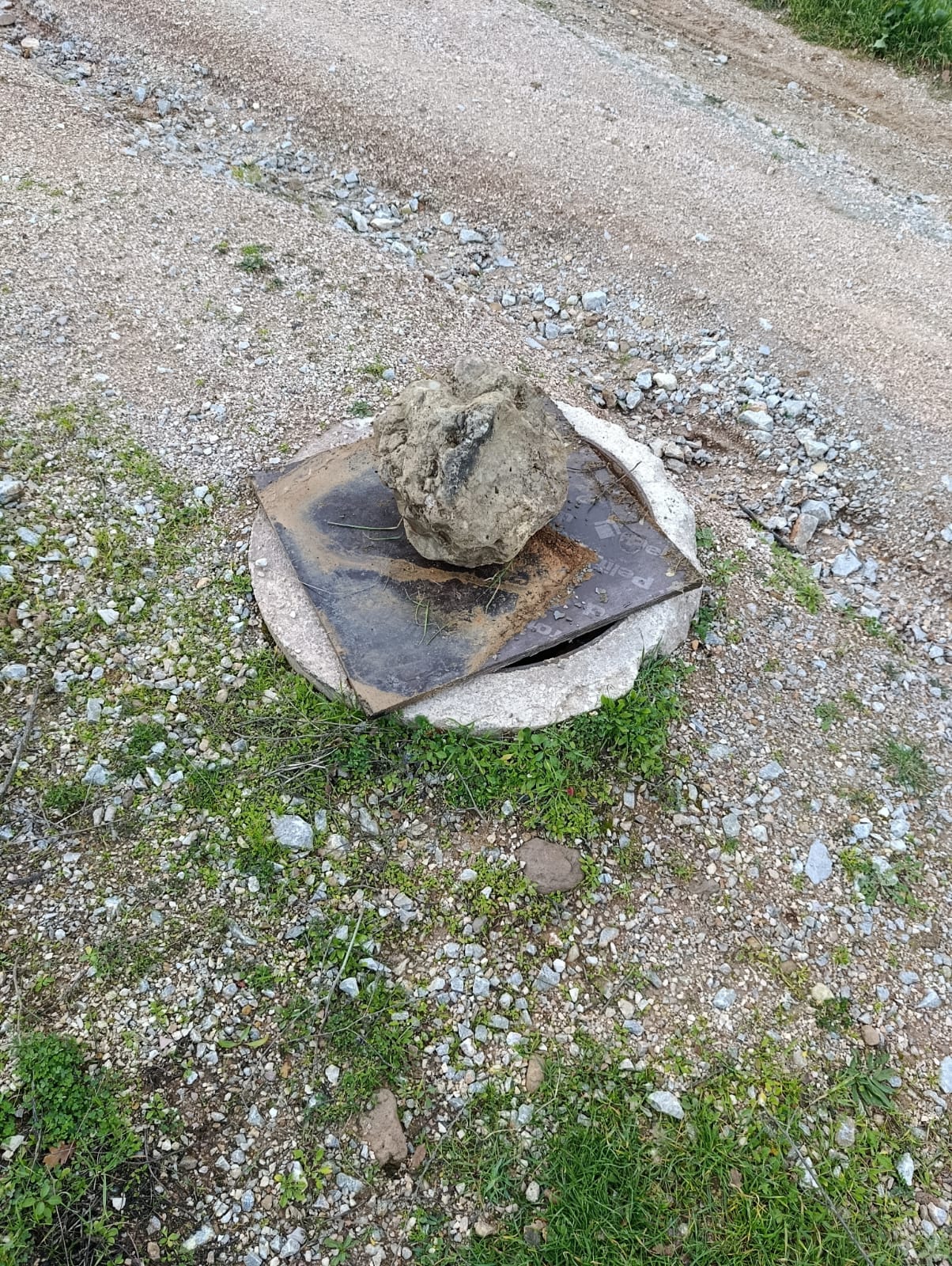 I M G 20260128 W A0169