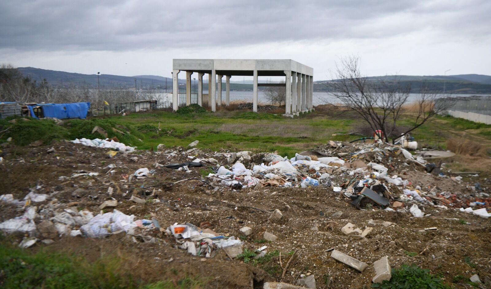 I M G 20260129 W A0018