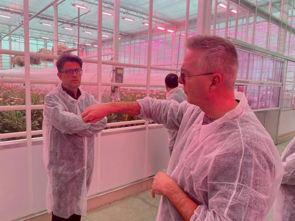 I M G 20260129 W A0055