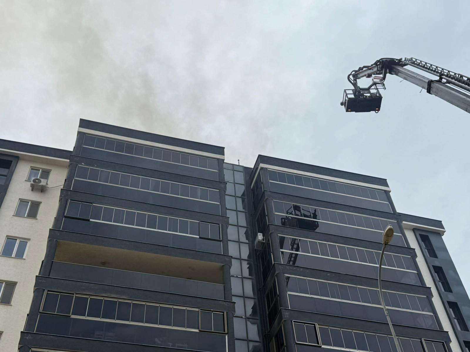 I M G 20260129 W A0082