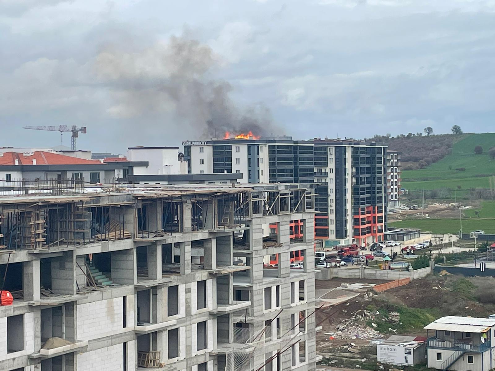 I M G 20260129 W A0083