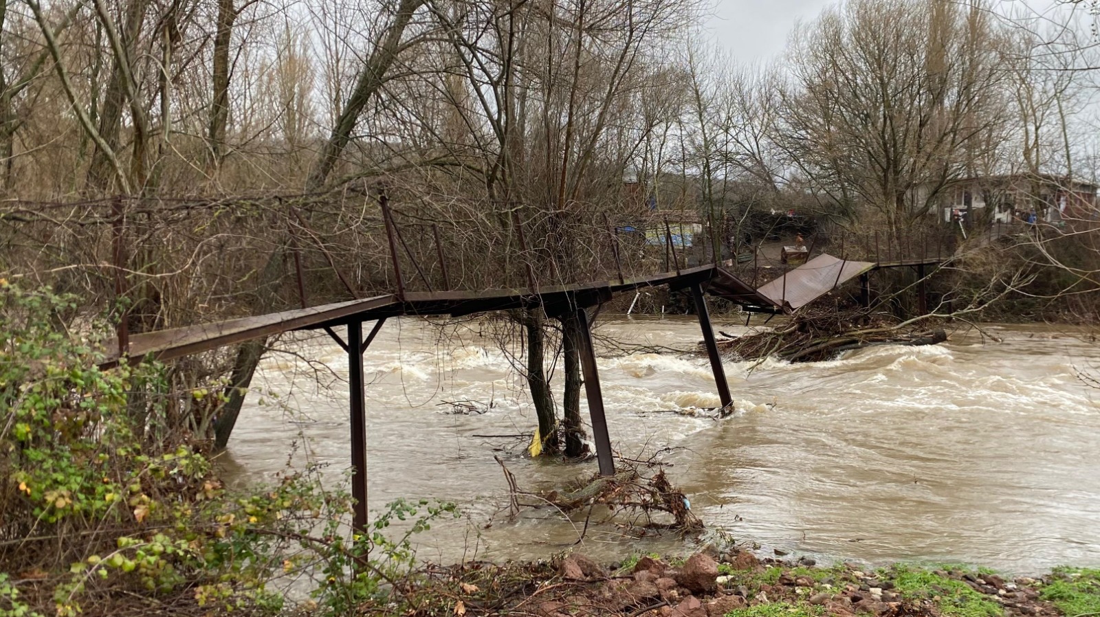 I M G 20260129 W A0087