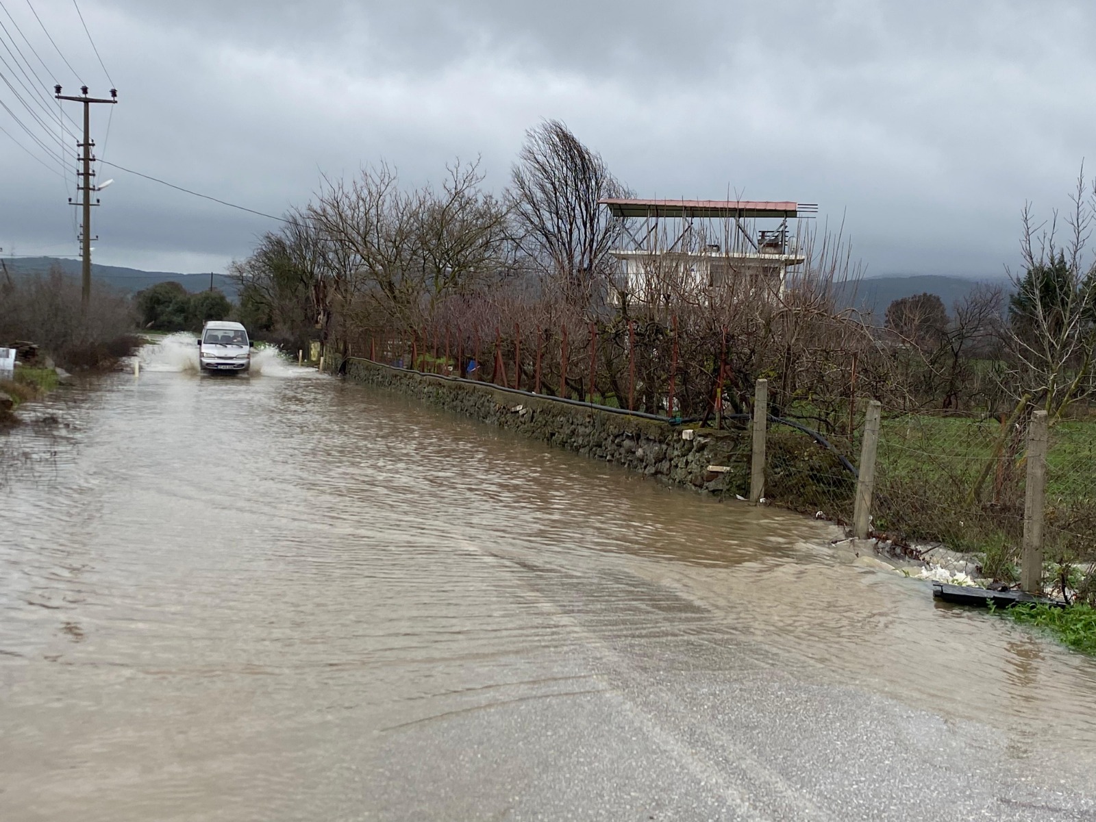 I M G 20260129 W A0088