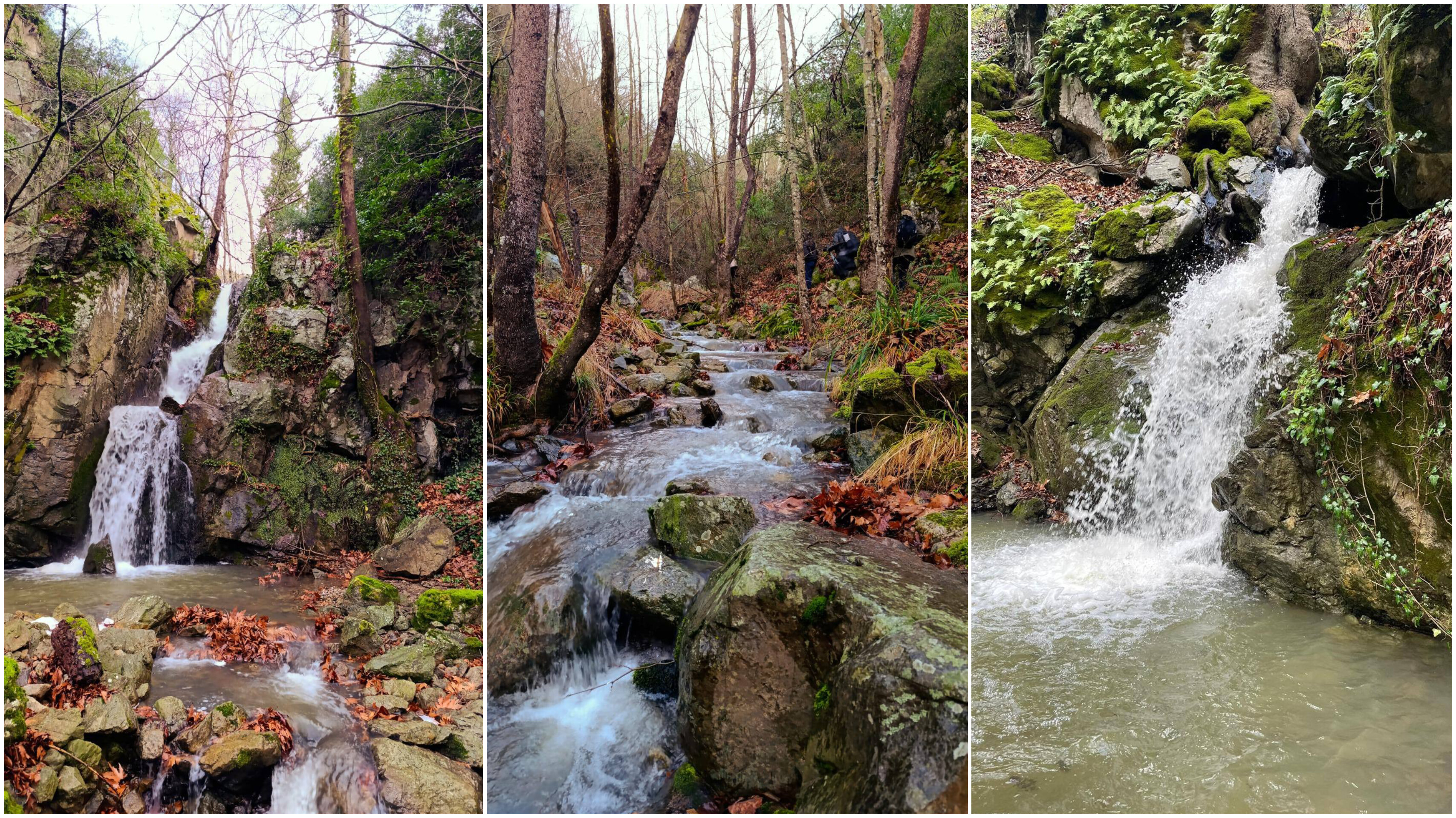 In Shot 20260112 135535805