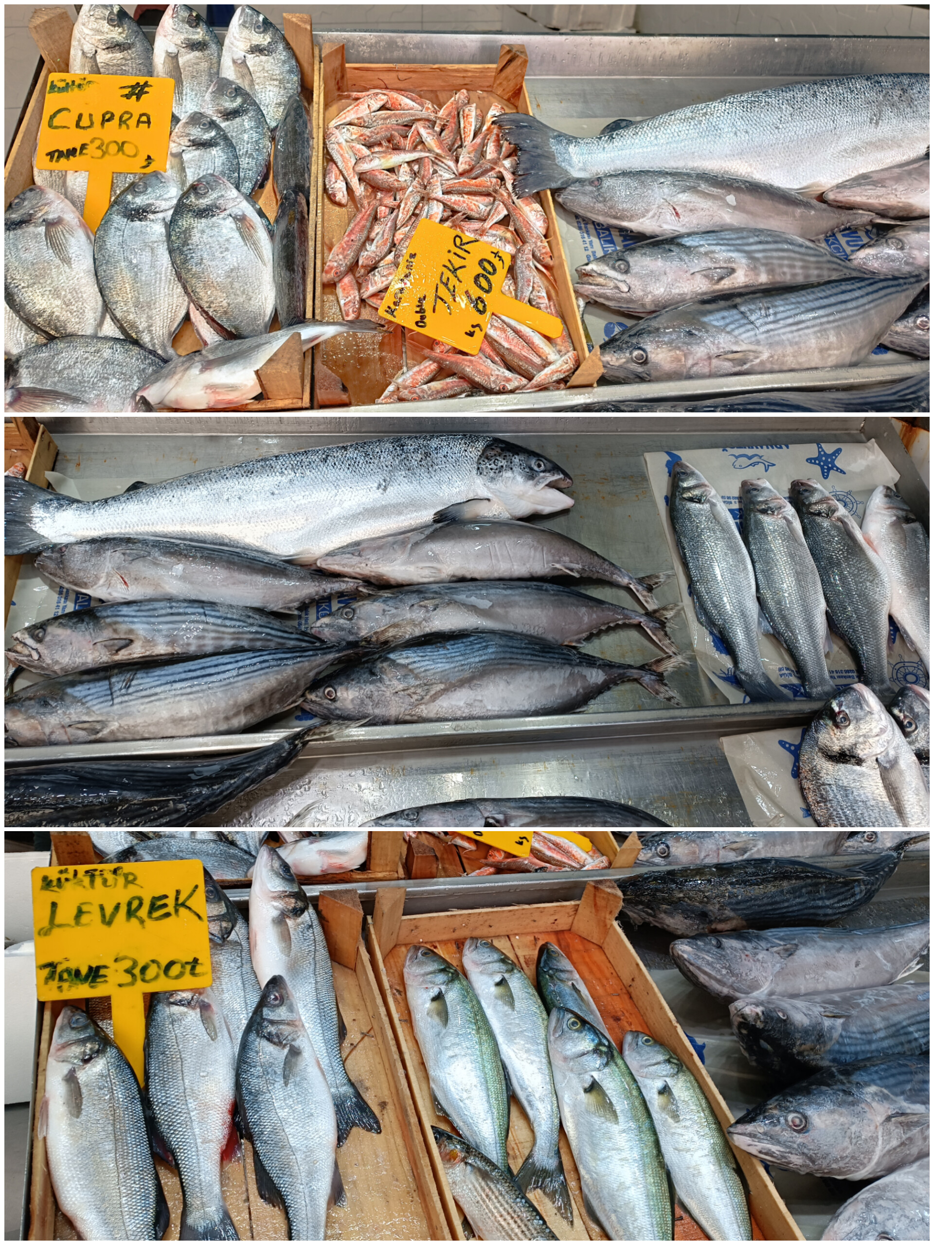 In Shot 20260113 140024026