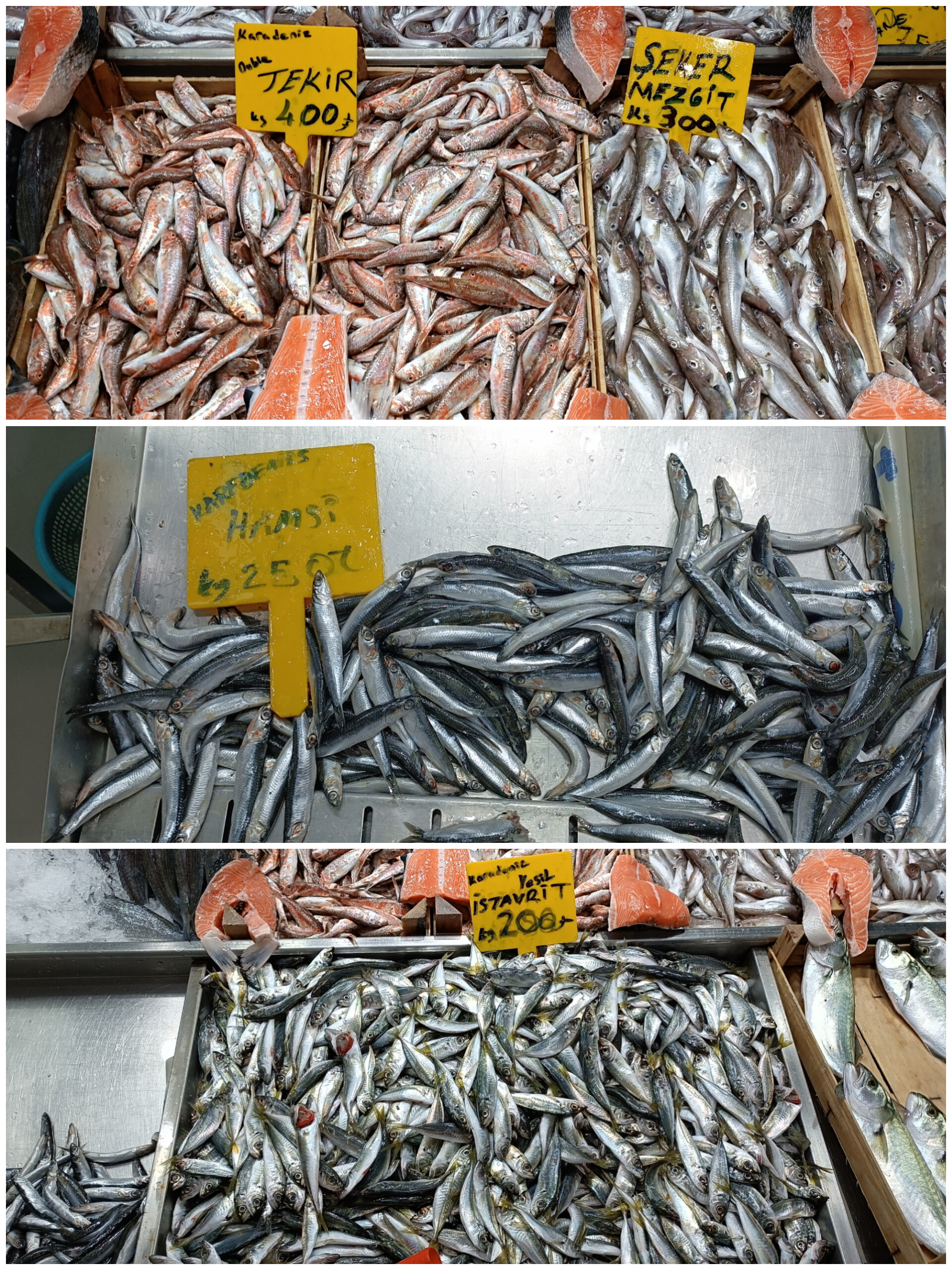 In Shot 20260120 141755715