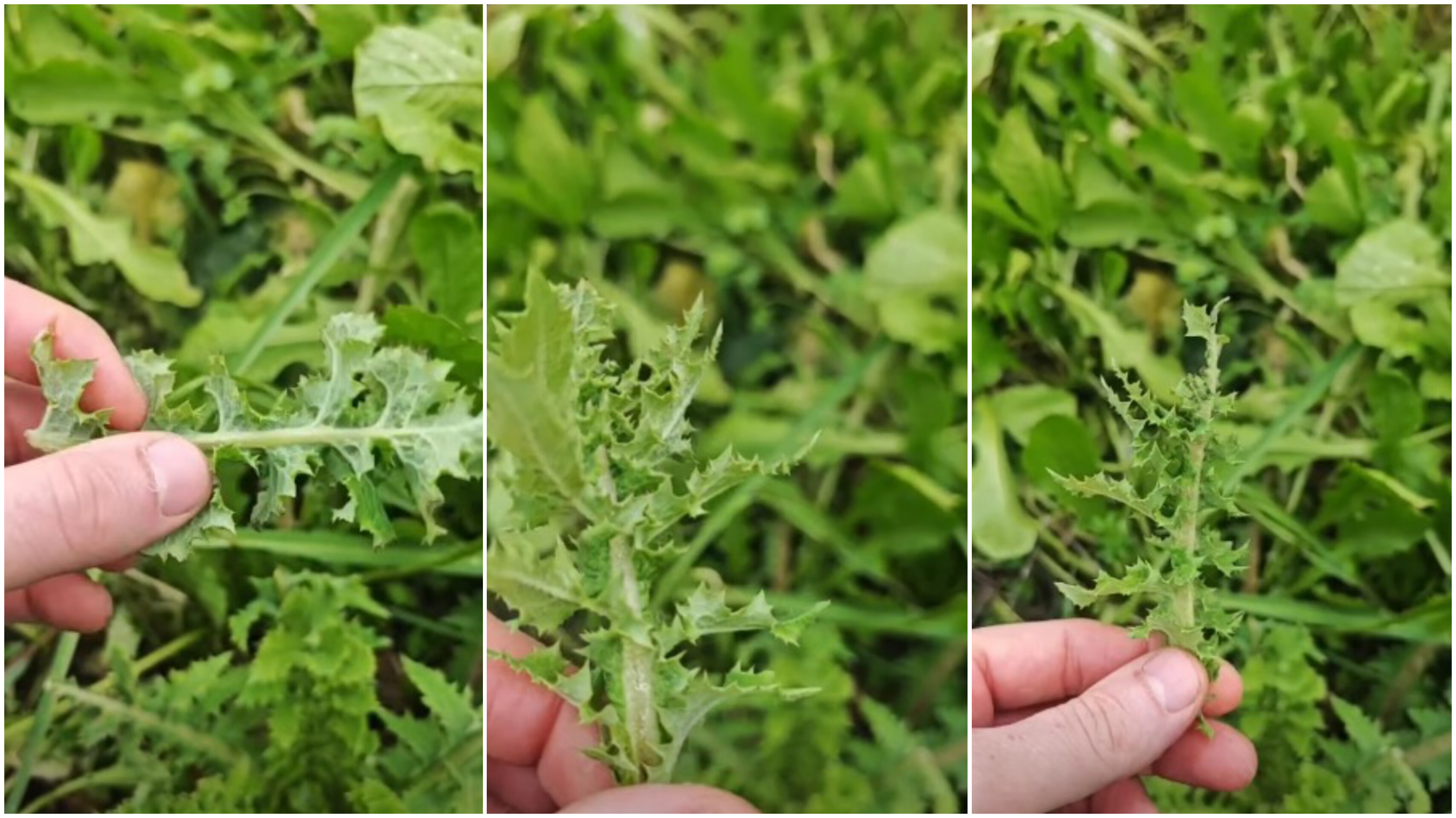 In Shot 20260123 132530097