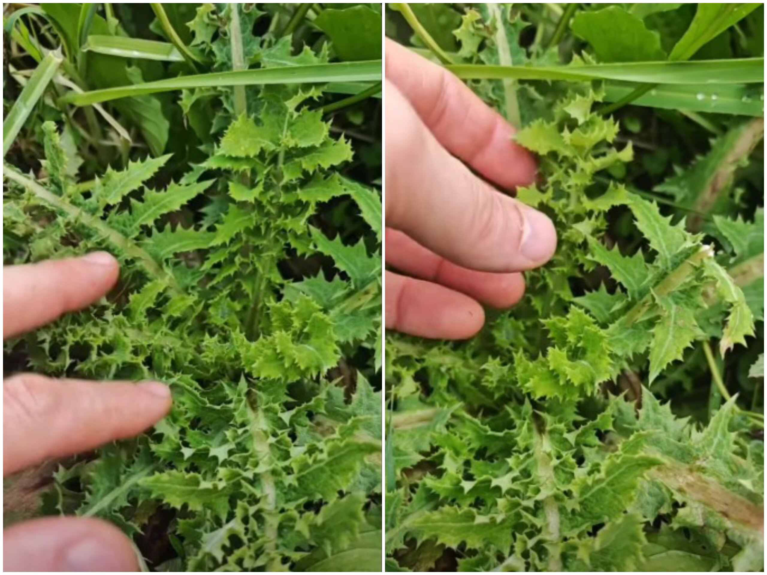 In Shot 20260123 132549394