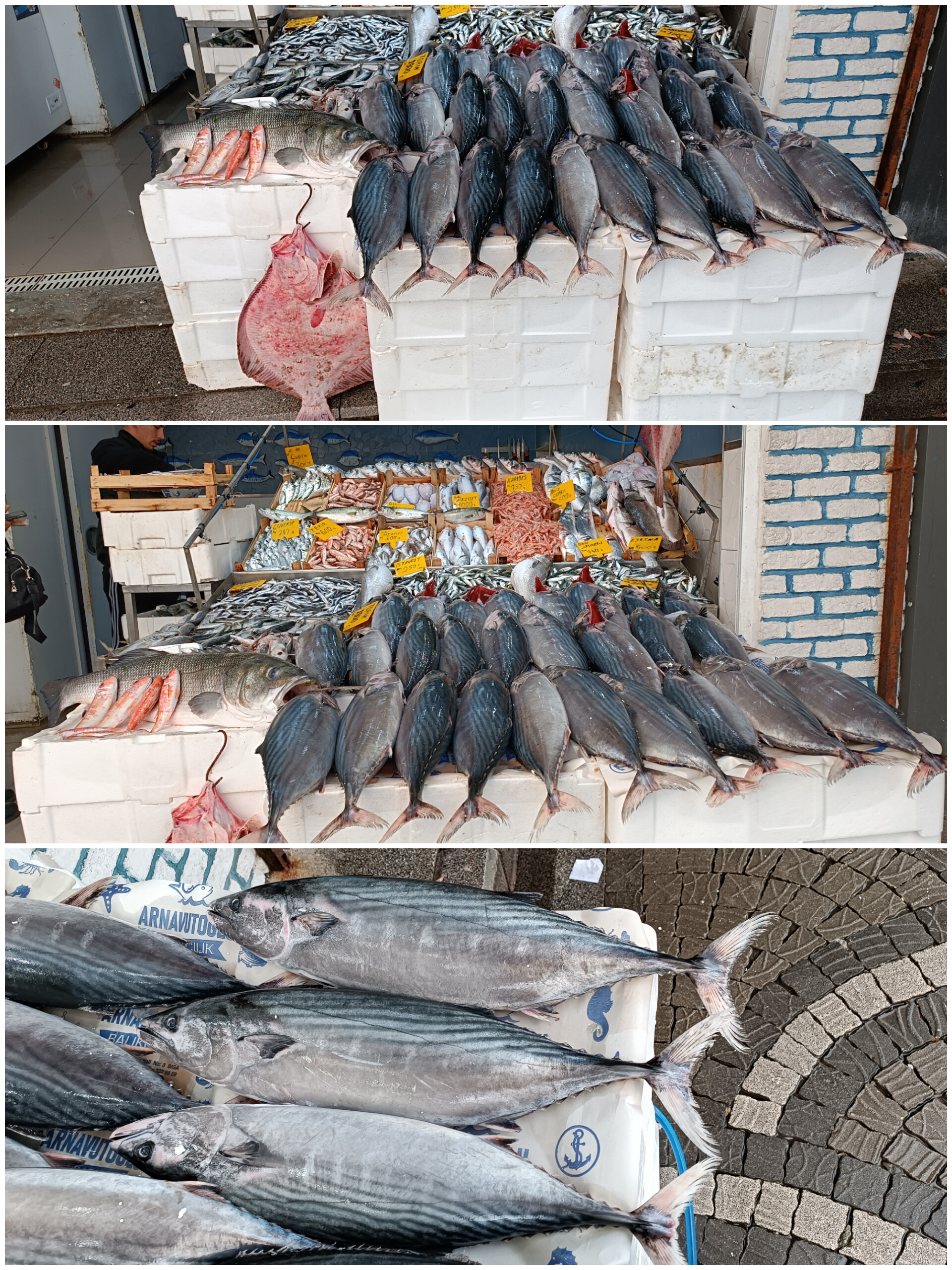 In Shot 20260128 132605789