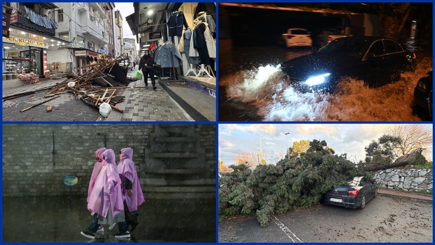 Thumbs B C 79E6E026Dcf85349Bc60A76Bb9479152