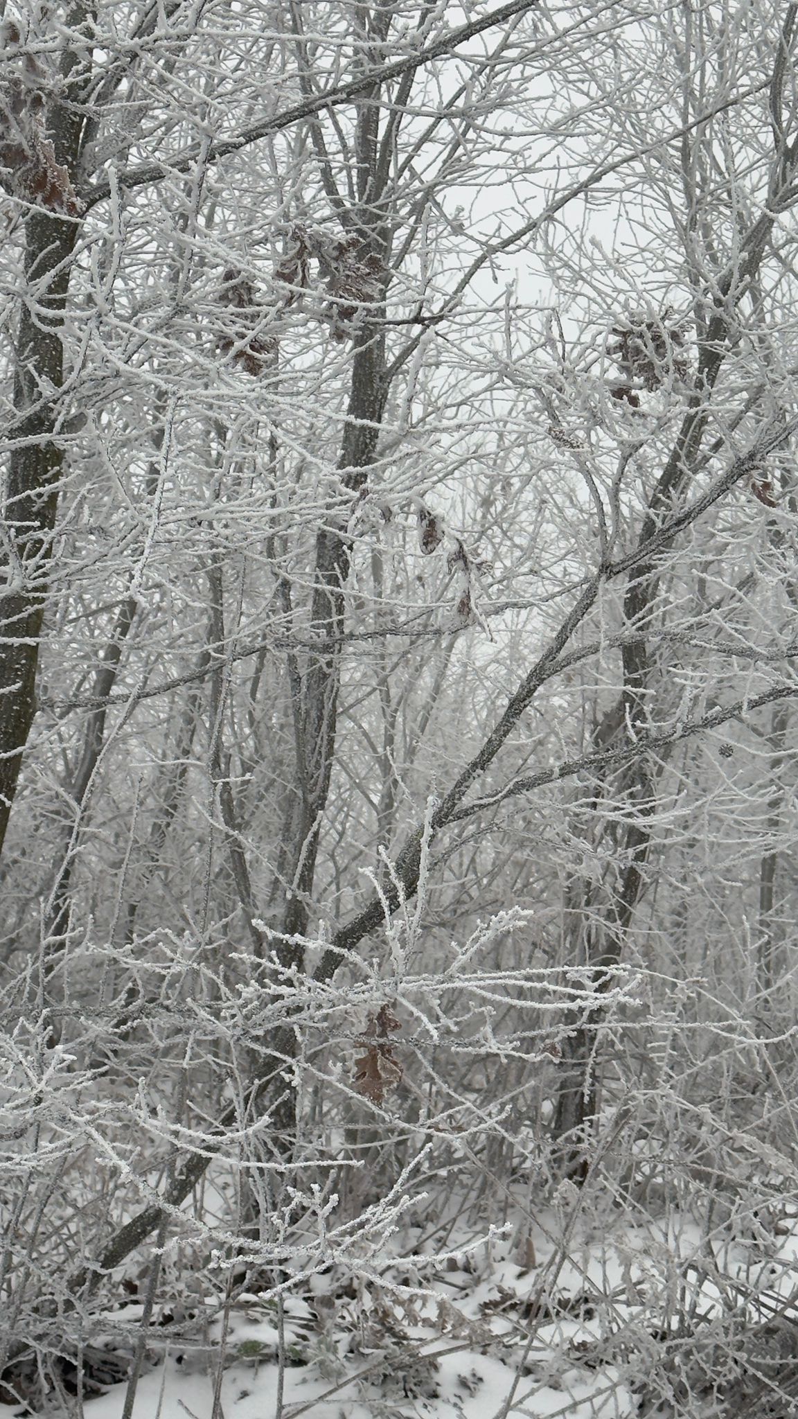 05646C6B Ec9F 40F5 A247 C932B543E80E