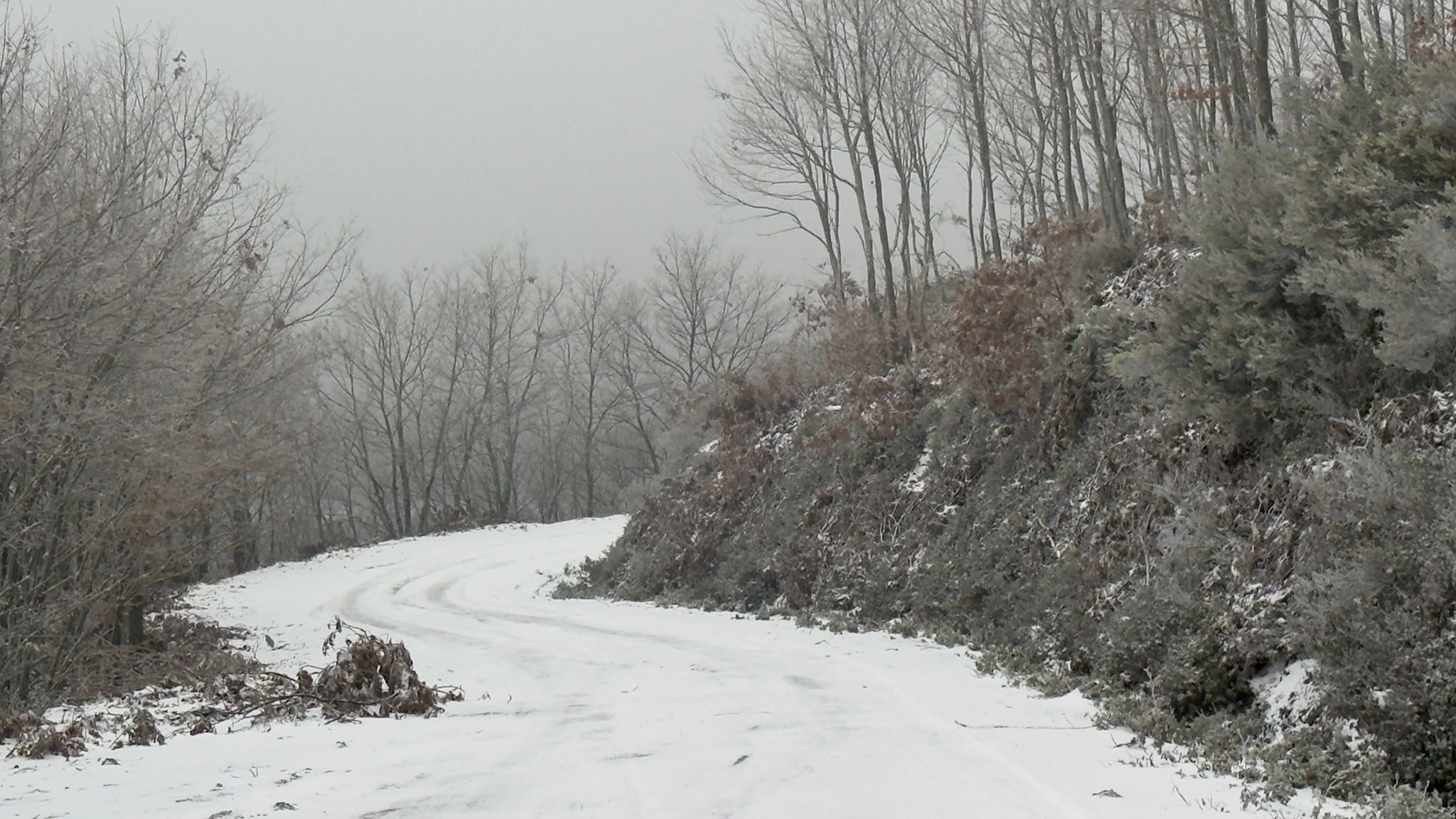 2Fd1D3F3 E13A 4734 B83E 0C5Ea8743Ddf