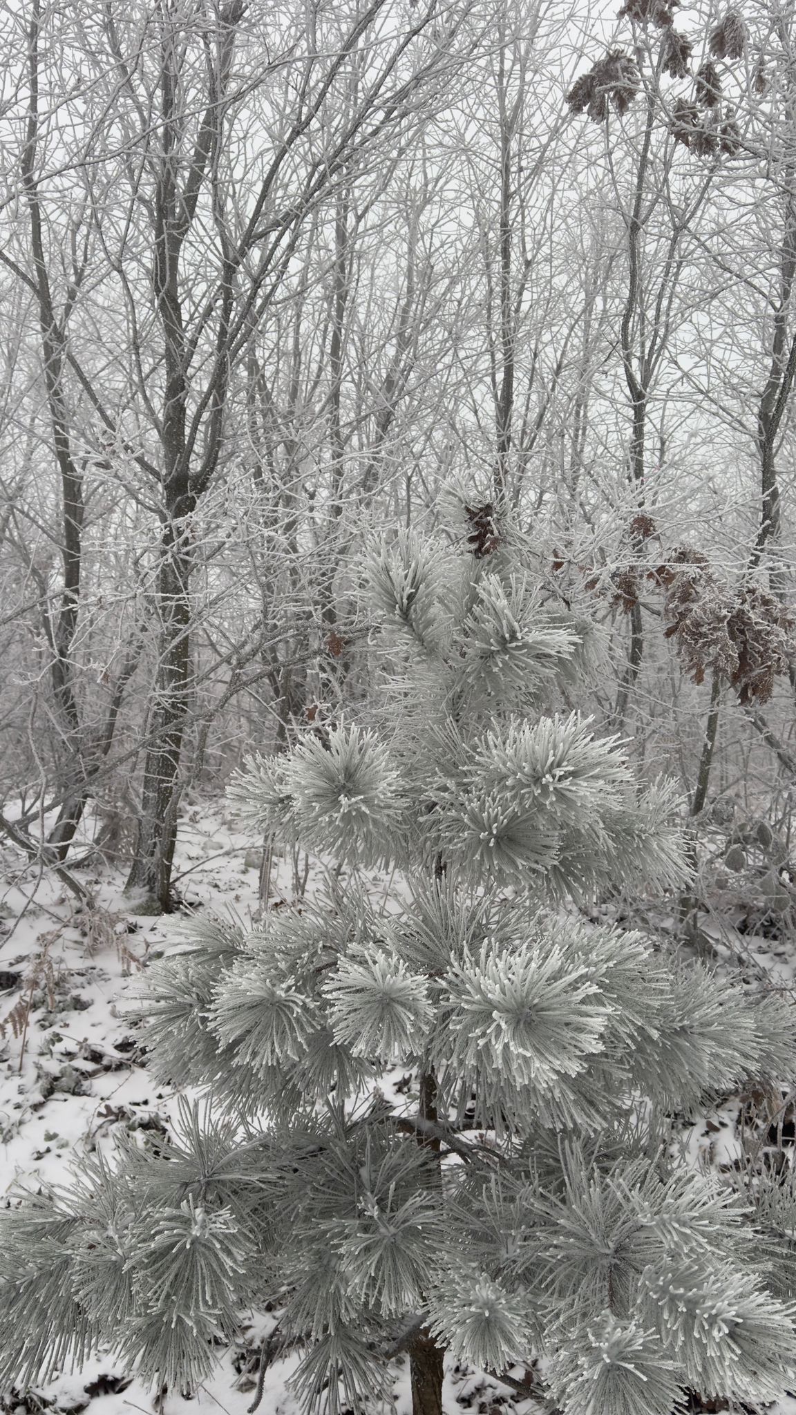 49A06C7A 016E 4B46 8530 551C25E7Bf88