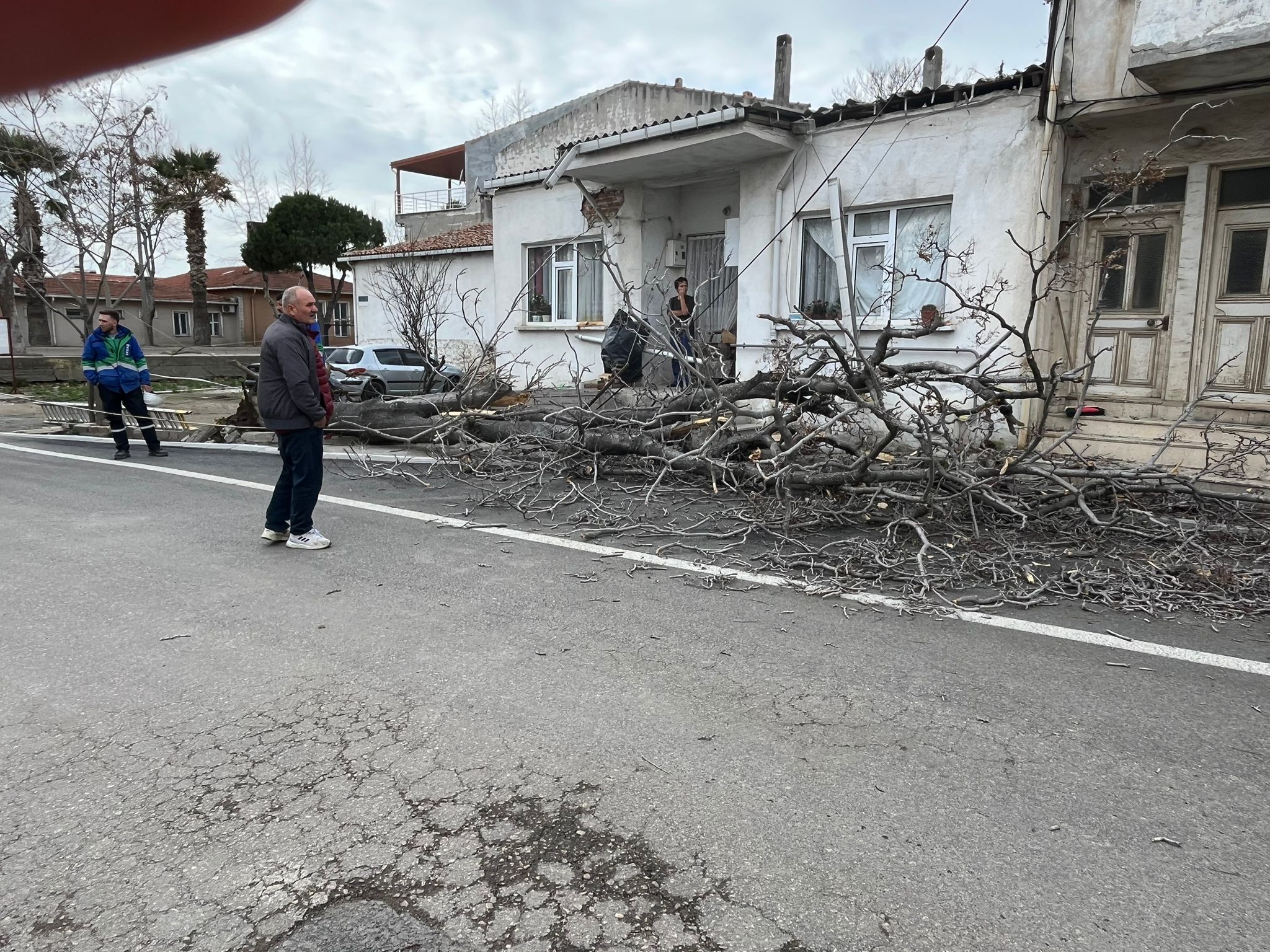 A A 20260104 40156874 40156870 G E L I B O L U D A S I D D E T L I R U Z G A R A G A C I D E V I R D I