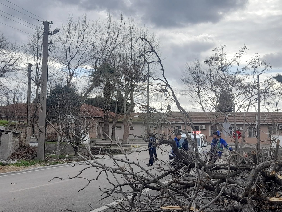 A A 20260104 40156874 40156871 G E L I B O L U D A S I D D E T L I R U Z G A R A G A C I D E V I R D I