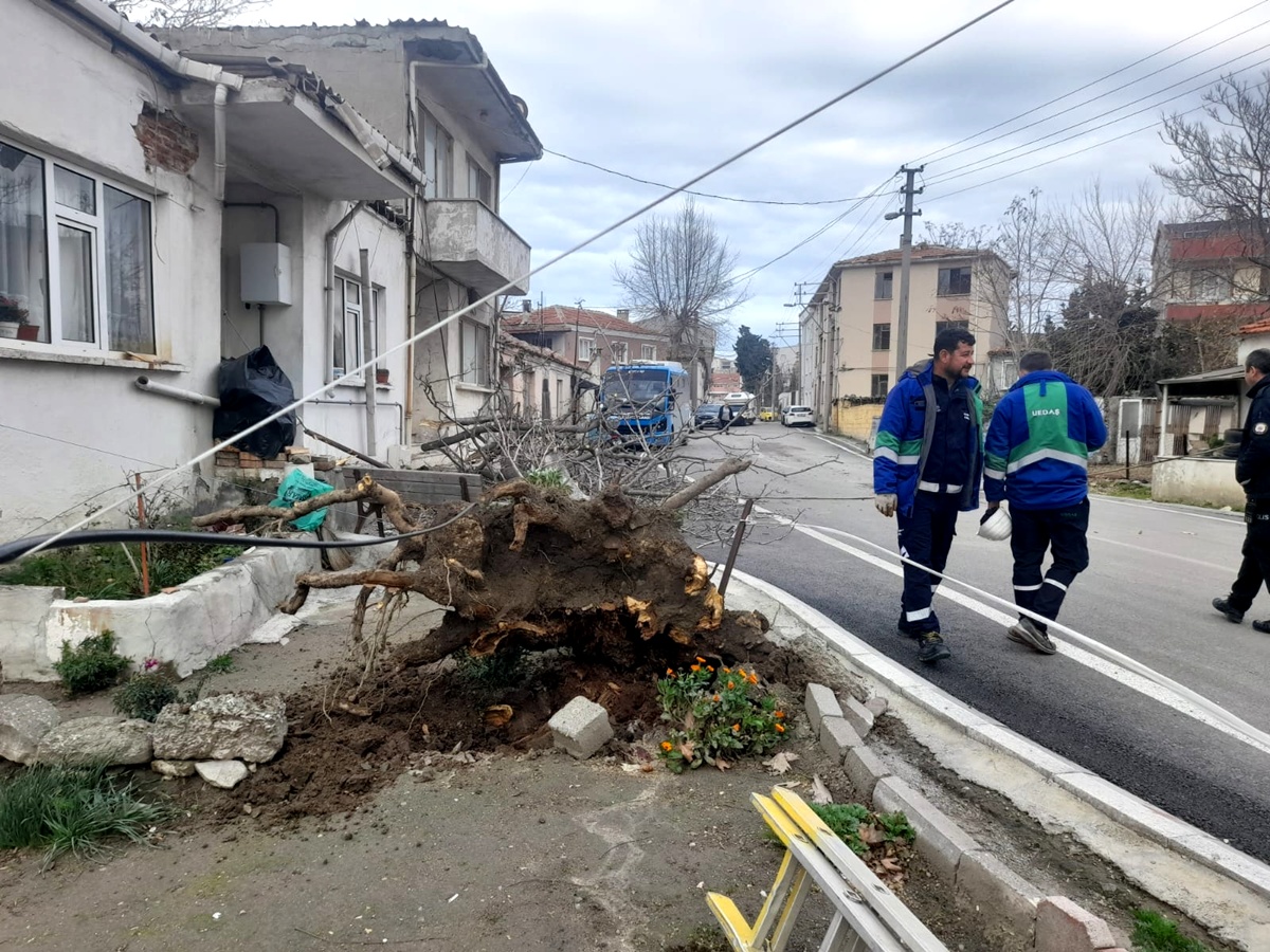 A A 20260104 40156874 40156872 G E L I B O L U D A S I D D E T L I R U Z G A R A G A C I D E V I R D I