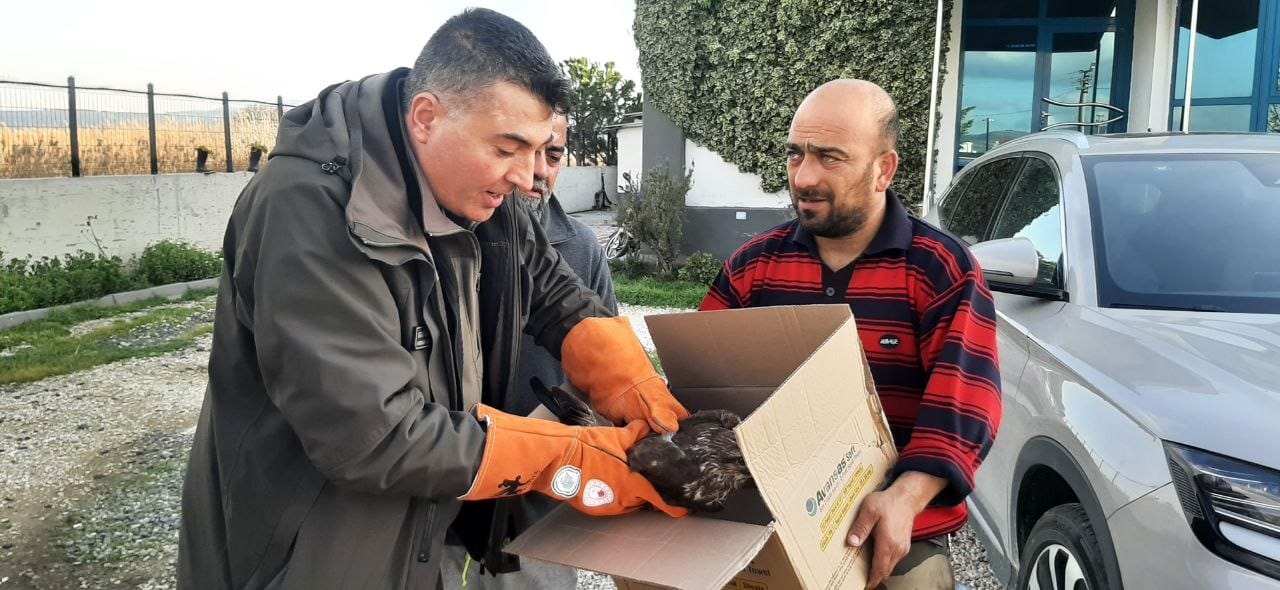 A A 20260116 40273185 40273182 C A N A K K A L E D E Y A R A L I S A H I N T E D A V I A L T I N A A L I N D I