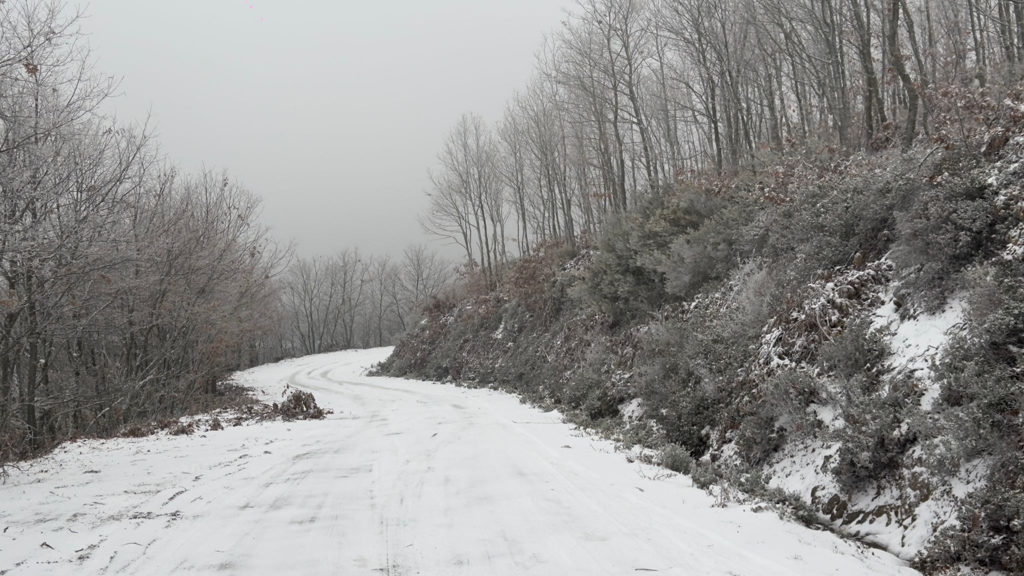 Dd210Fea Fcc2 4Ef4 9Fac 0A978Dabc120