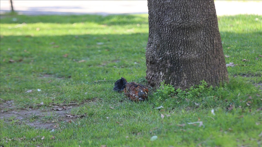 Thumbs B C A3468Eb3391A245Bf636A022816A36C1