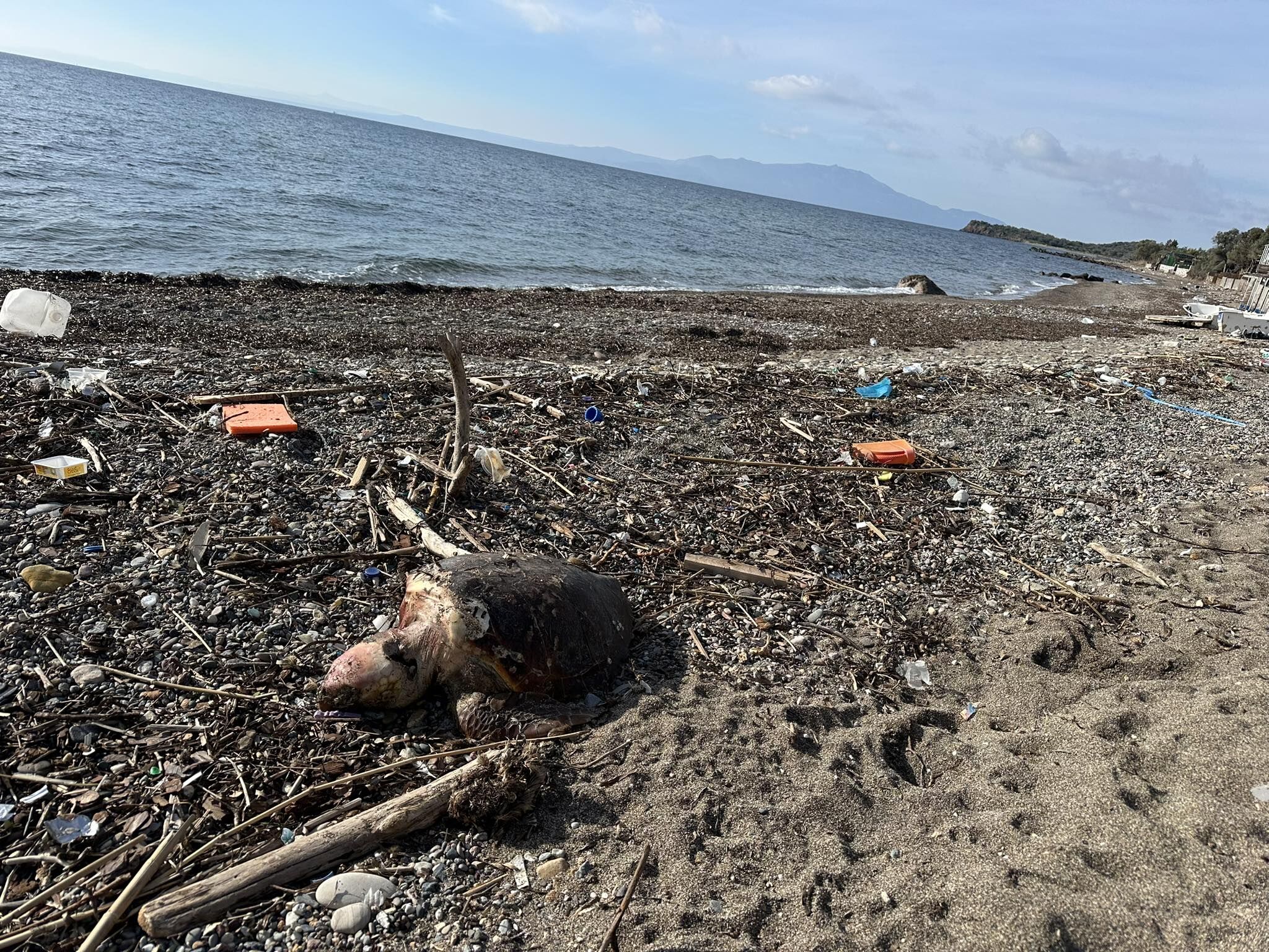 641282251 1504761598203195 2697034259467142265 N