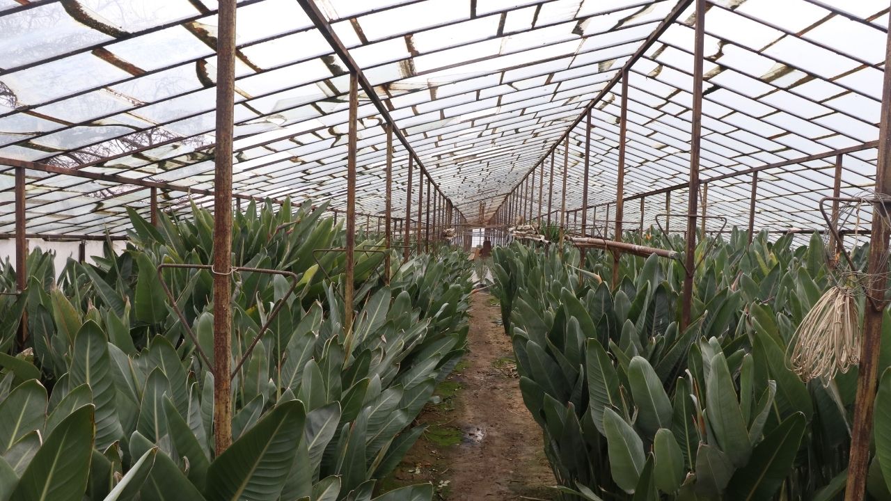 Bir Başlık Ekleyin (2)-71