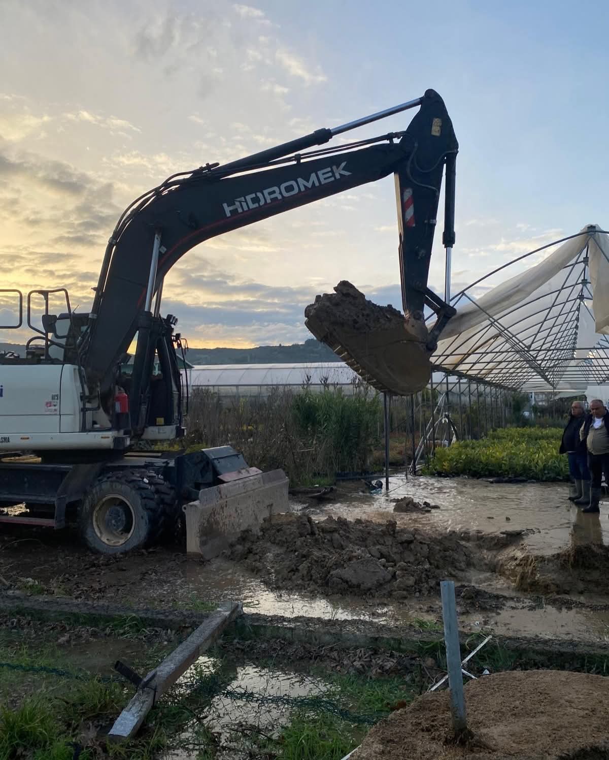 Eeeeae0C 4F8C 4Fdb B4A6 5Ba183Bb554F