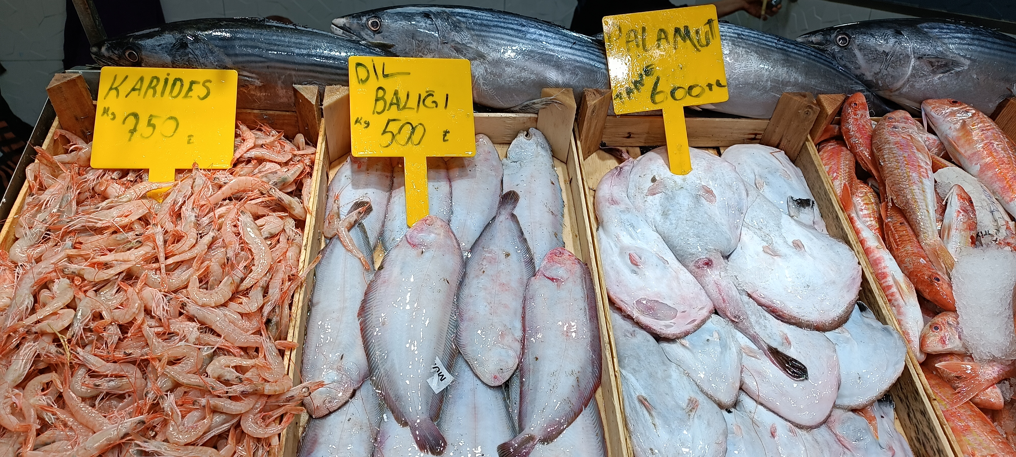 I M G 20260201 140206