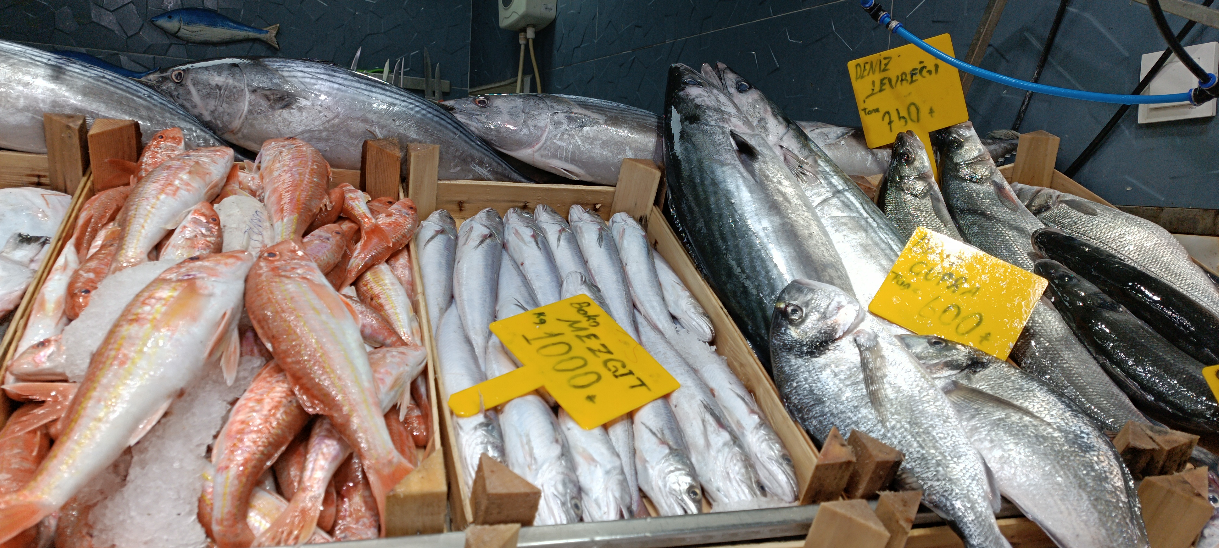 I M G 20260201 140218