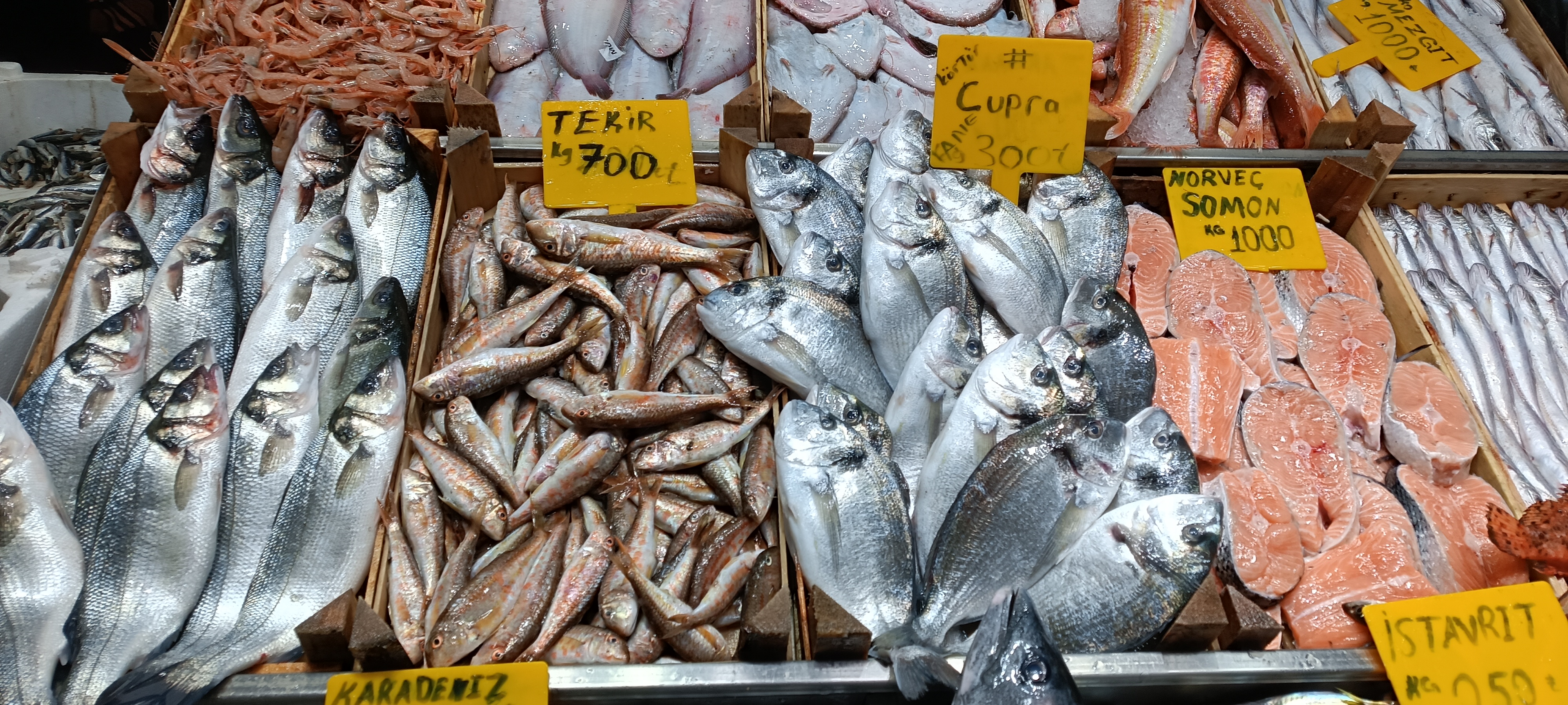 I M G 20260201 140239