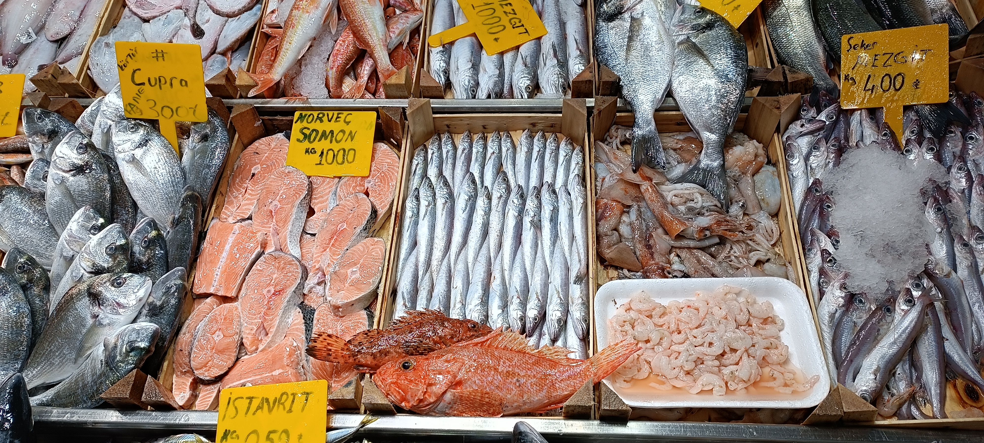 I M G 20260201 140302