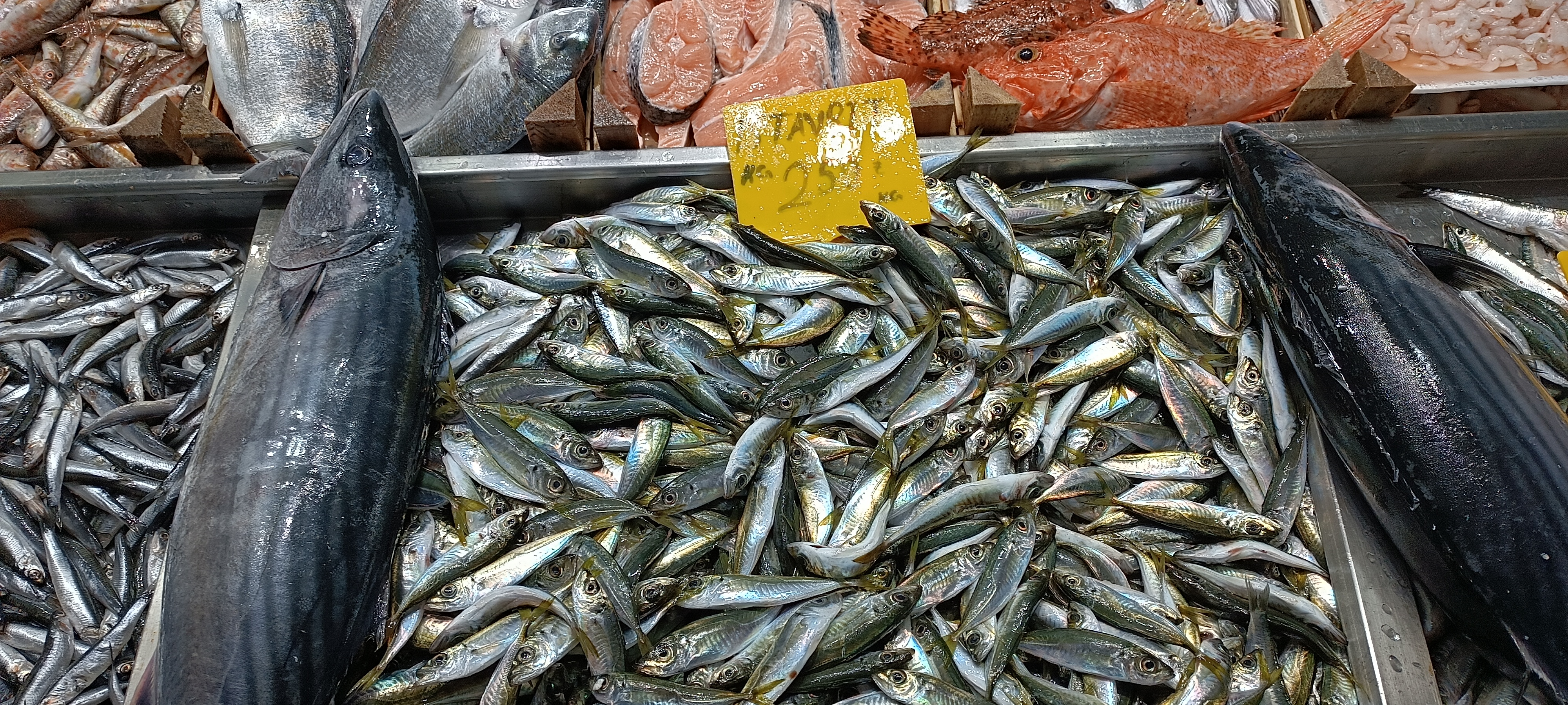 I M G 20260201 140321