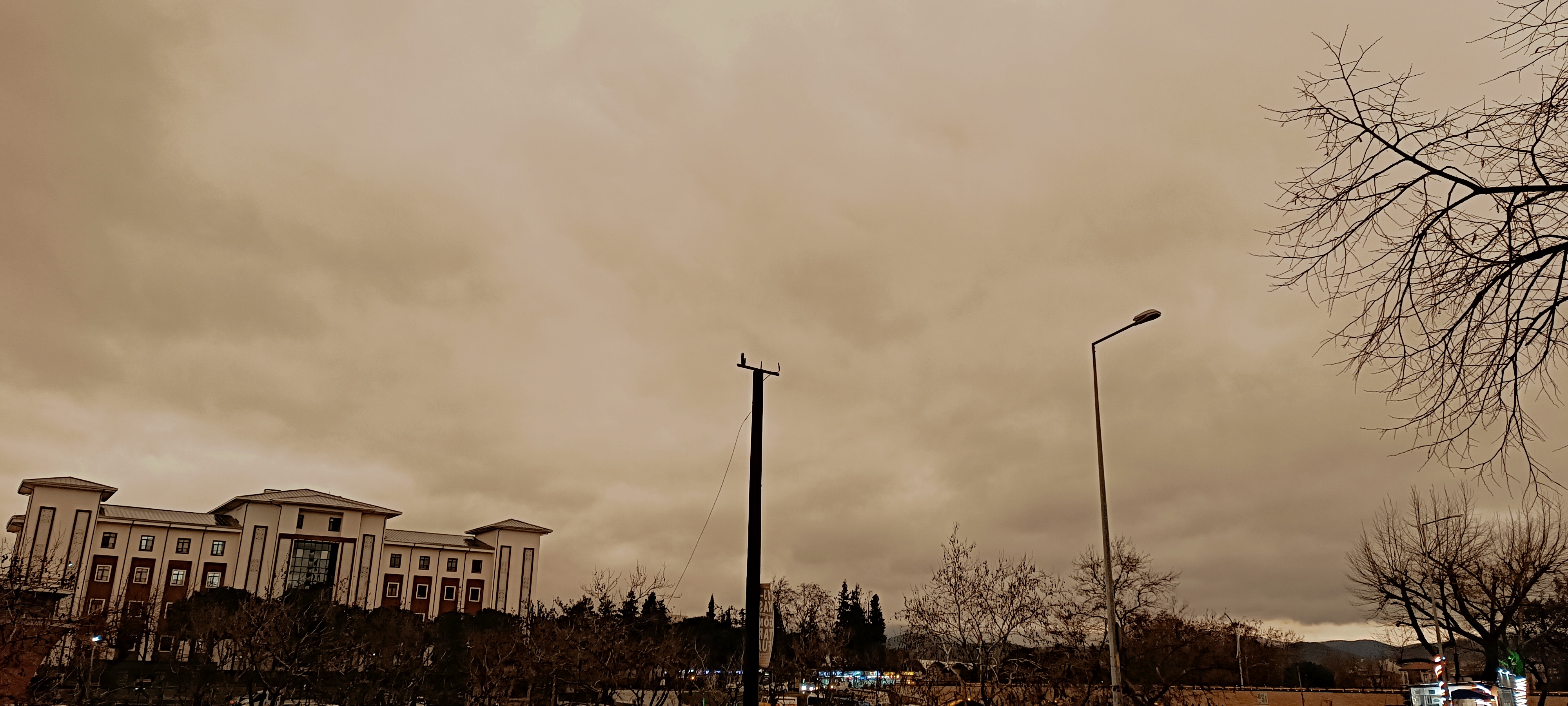 I M G 20260201 183202