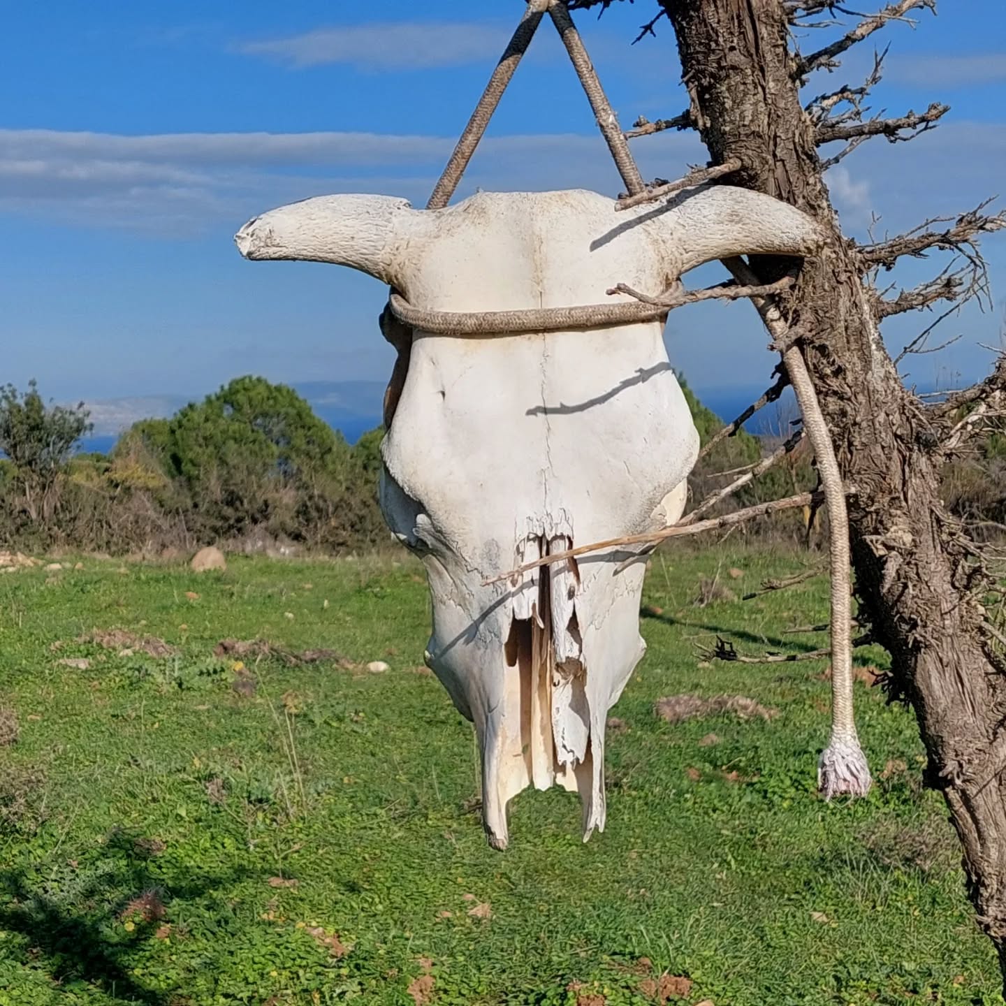 I M G 20260210 W A0027